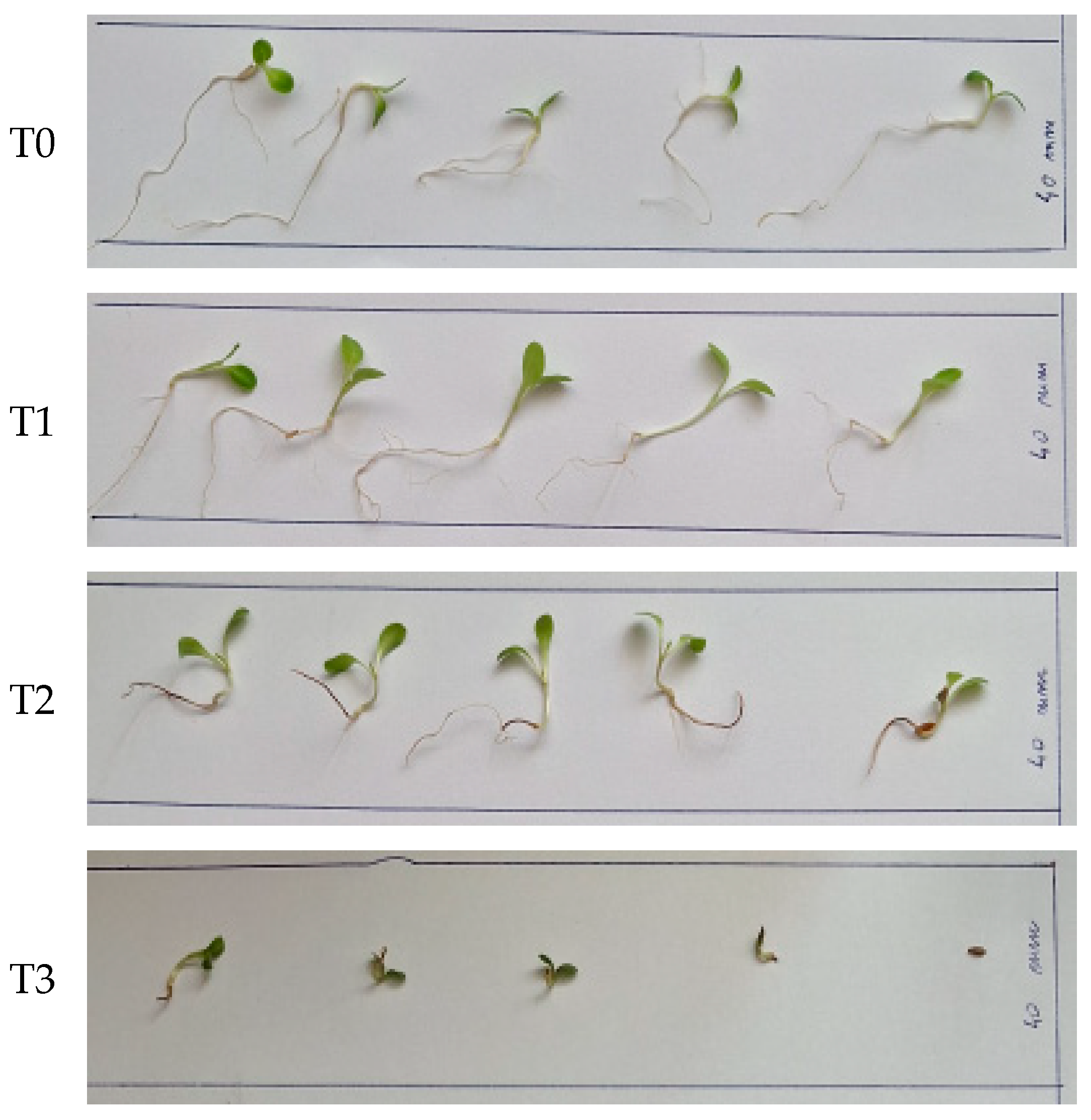 Agronomy 14 01919 g005