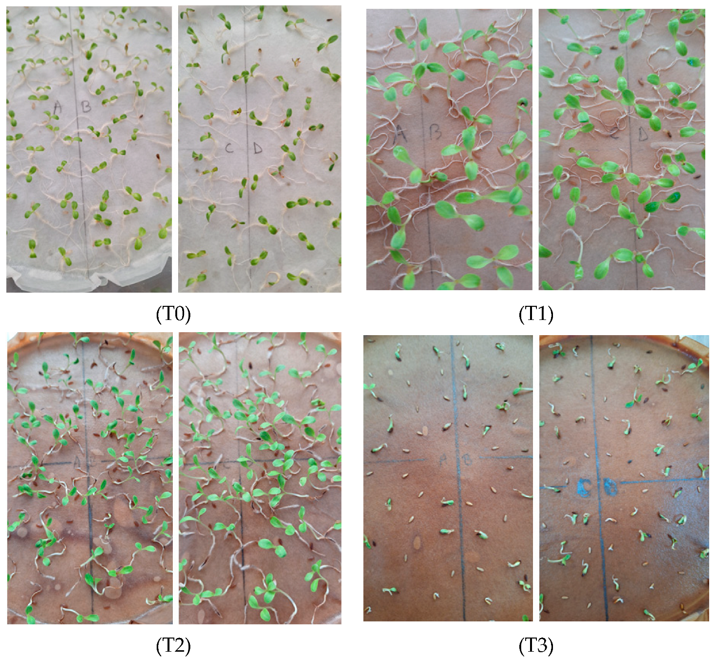 Agronomy 14 01919 g007