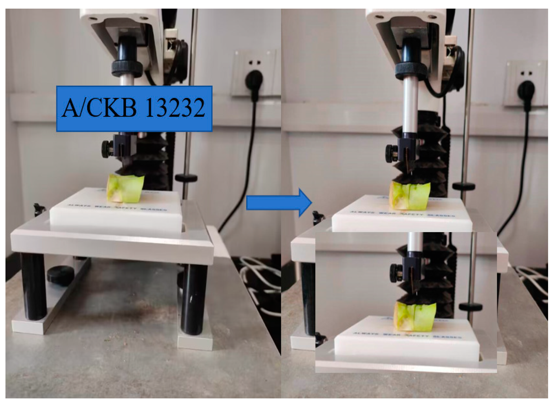 Agronomy 14 01925 g015