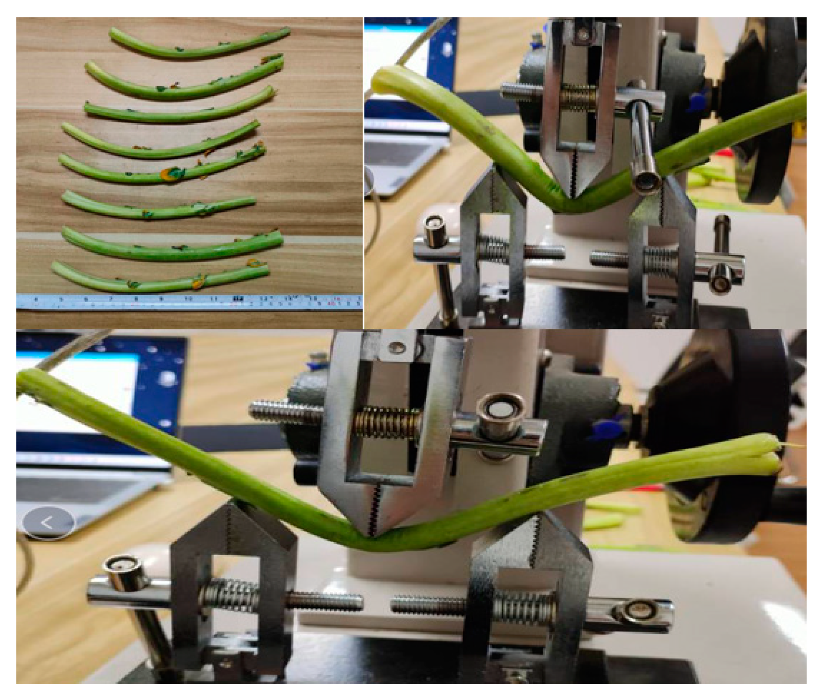 Agronomy 14 01925 g018