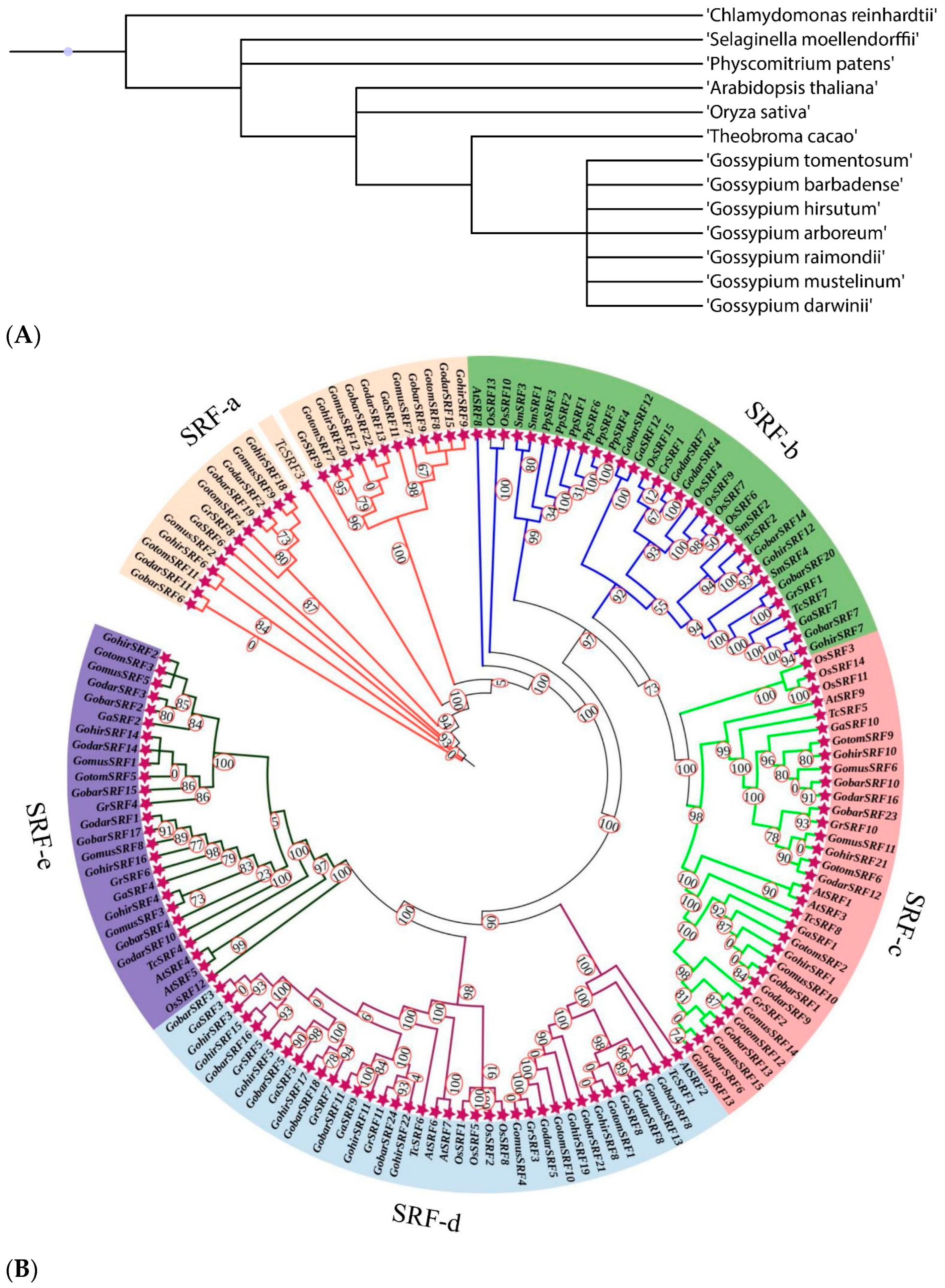Agronomy 14 01933 g001