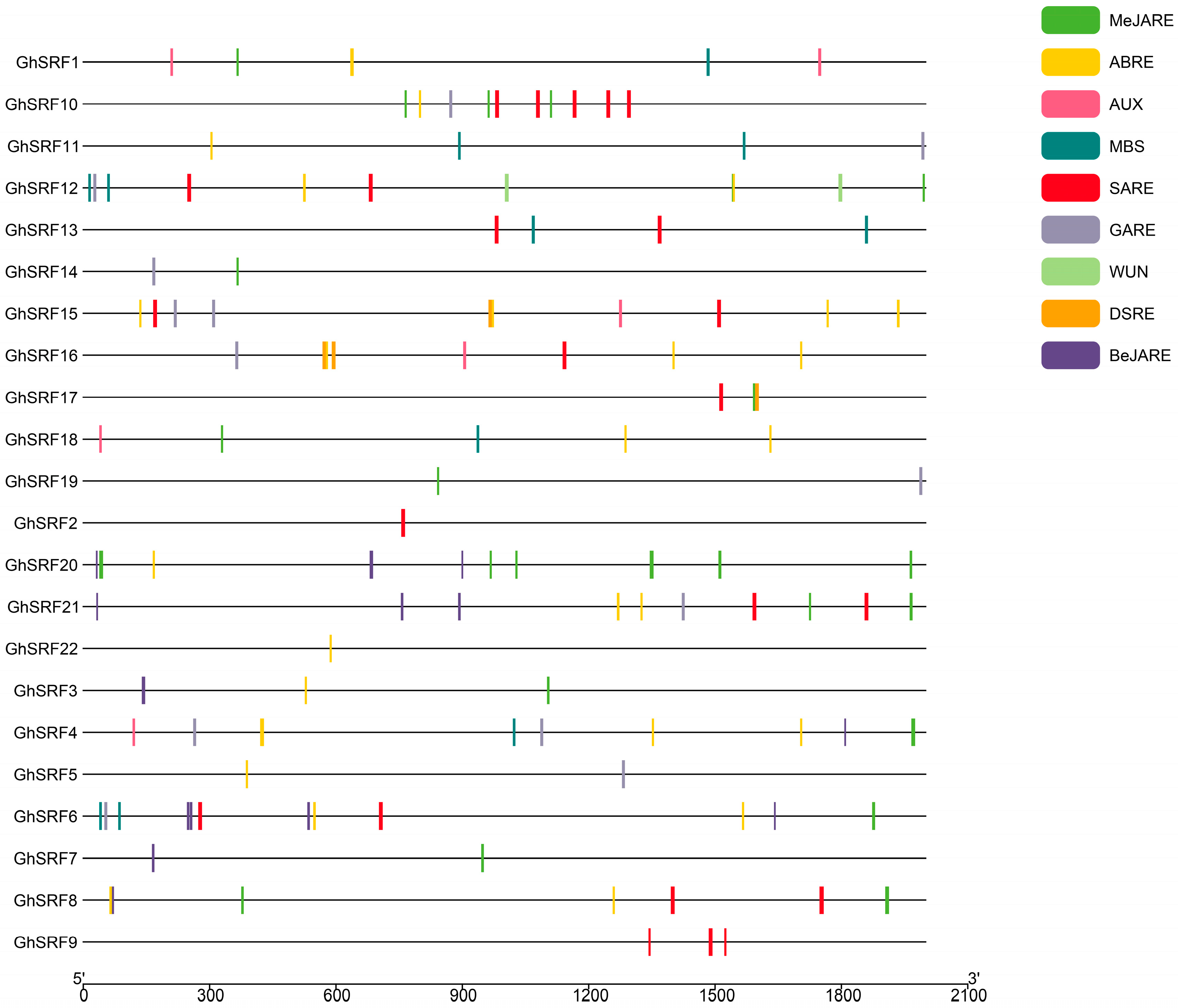 Agronomy 14 01933 g003