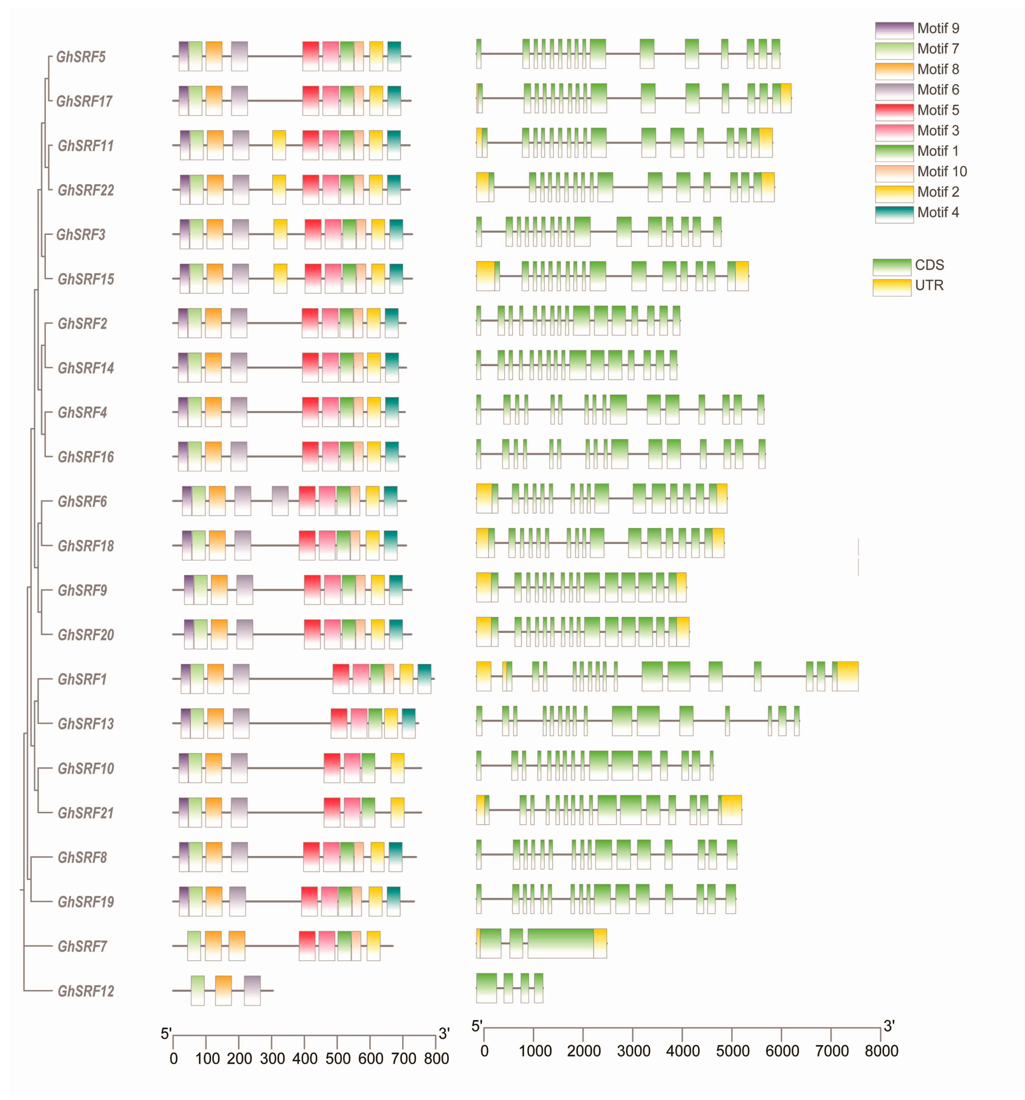 Agronomy 14 01933 g004