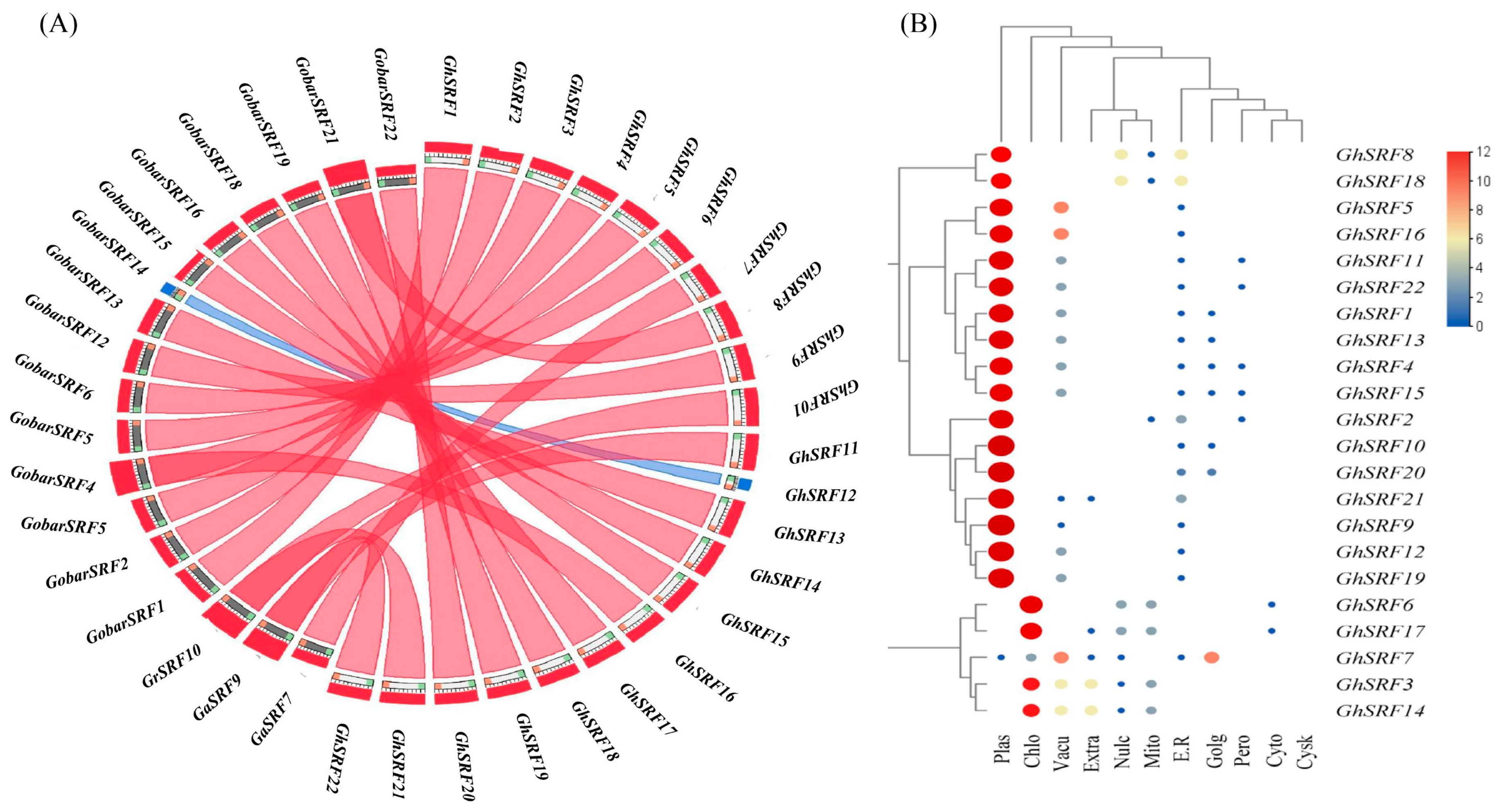 Agronomy 14 01933 g006