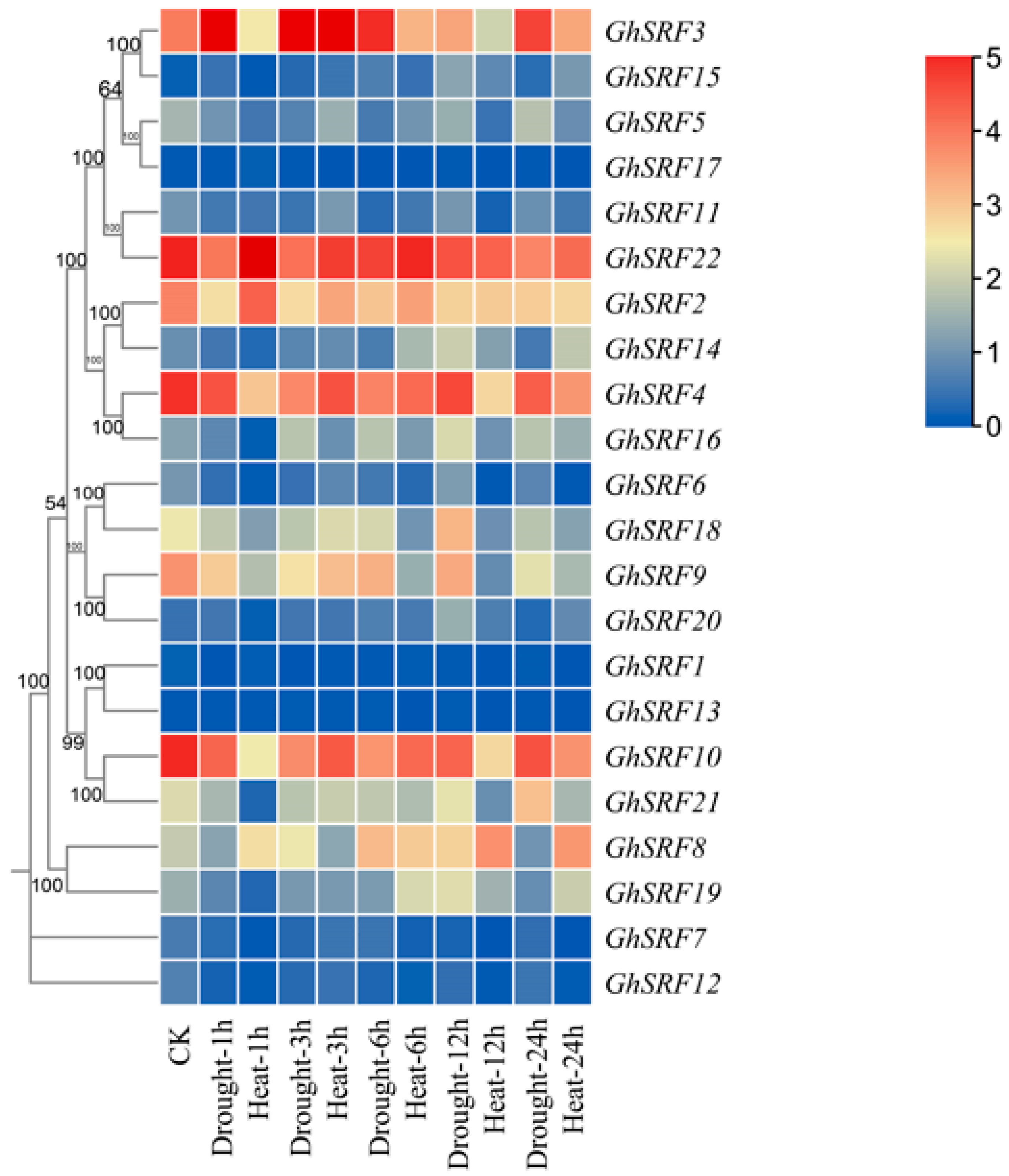 Agronomy 14 01933 g007