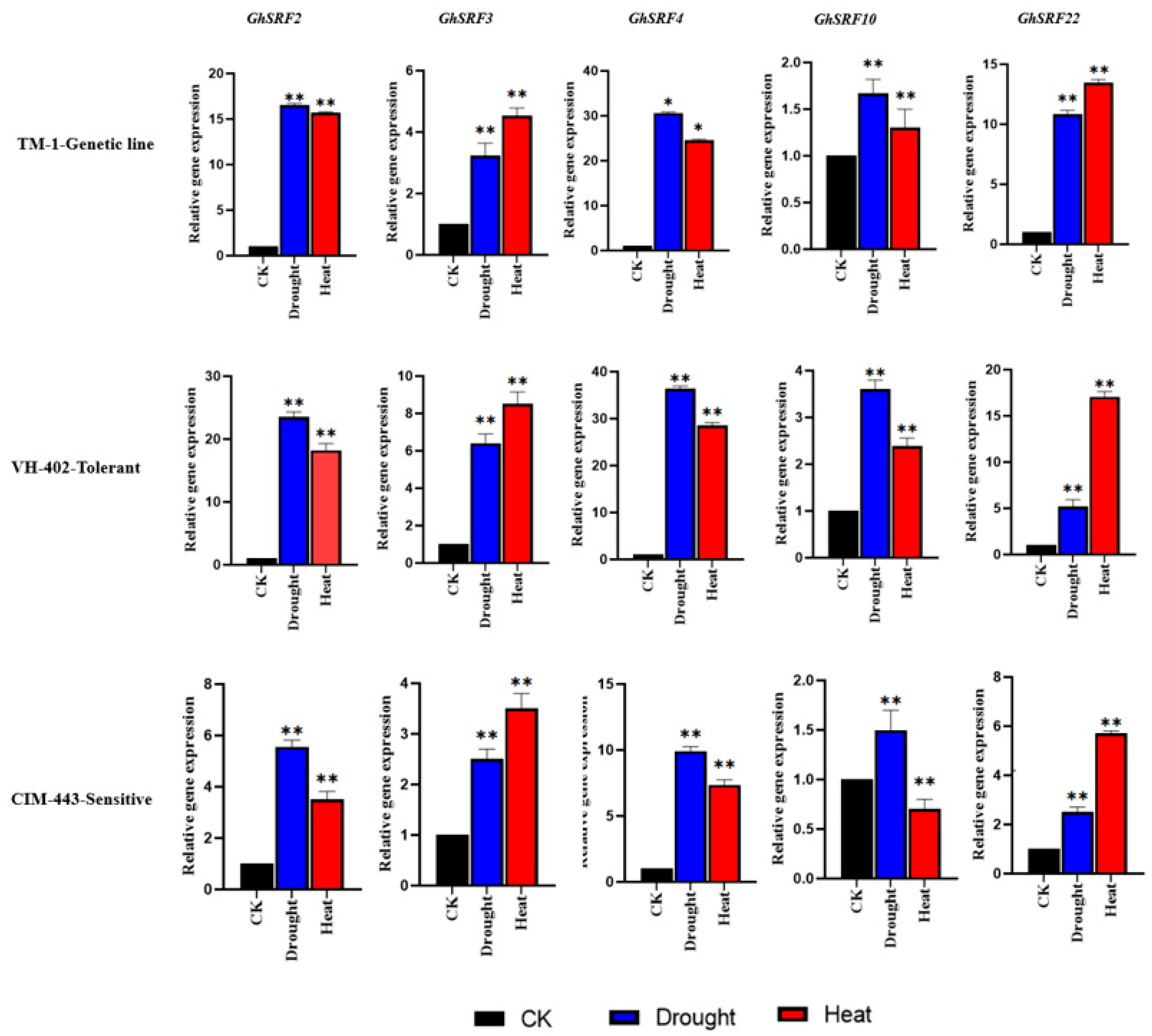 Agronomy 14 01933 g008
