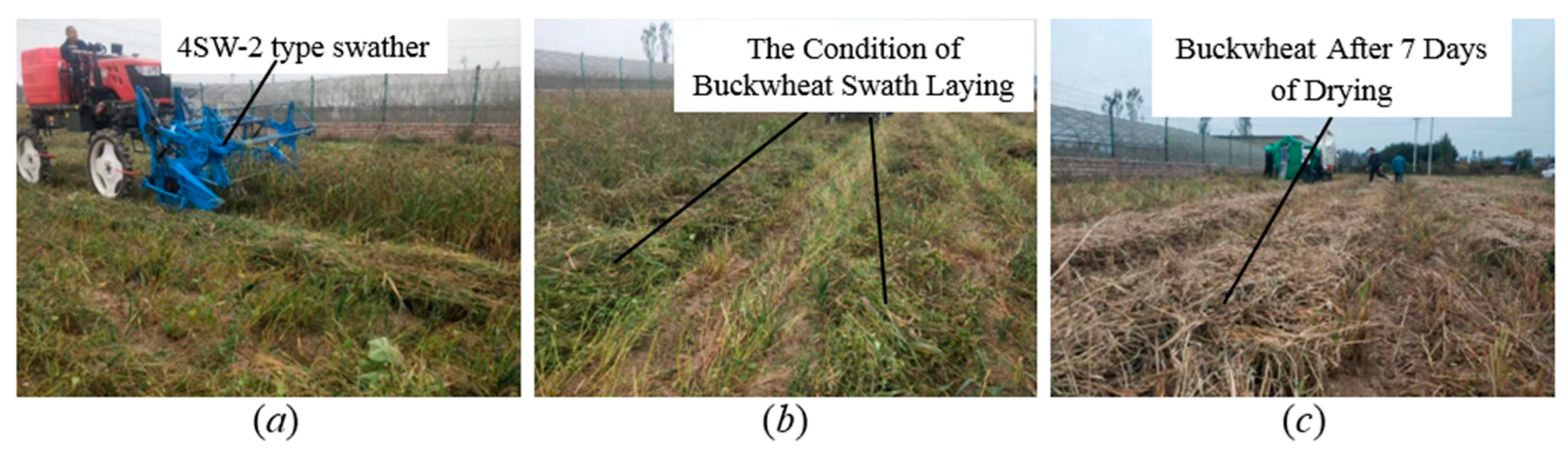 Agronomy 14 01944 g009
