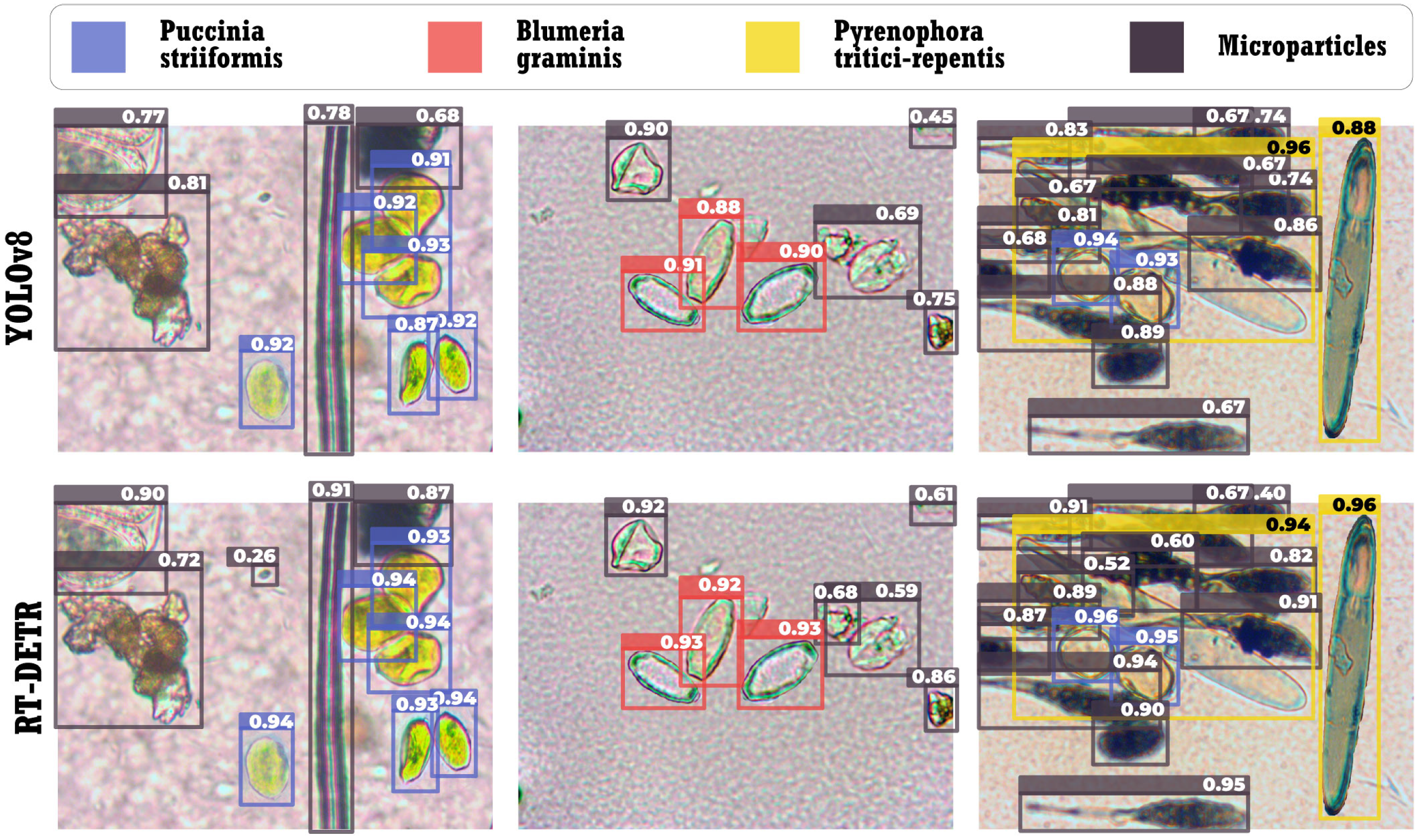 Agronomy 14 01945 g007