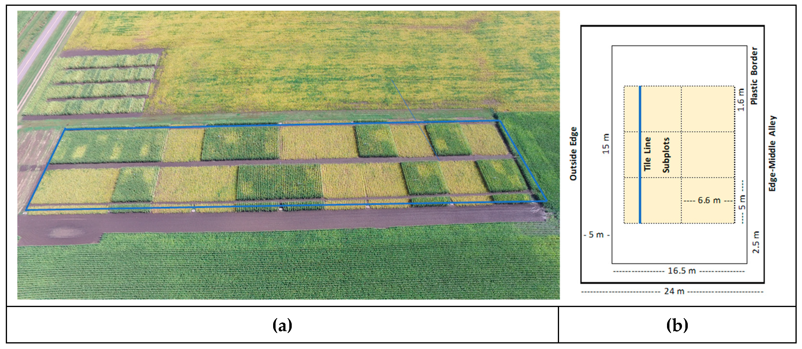 Agronomy 14 01948 g001