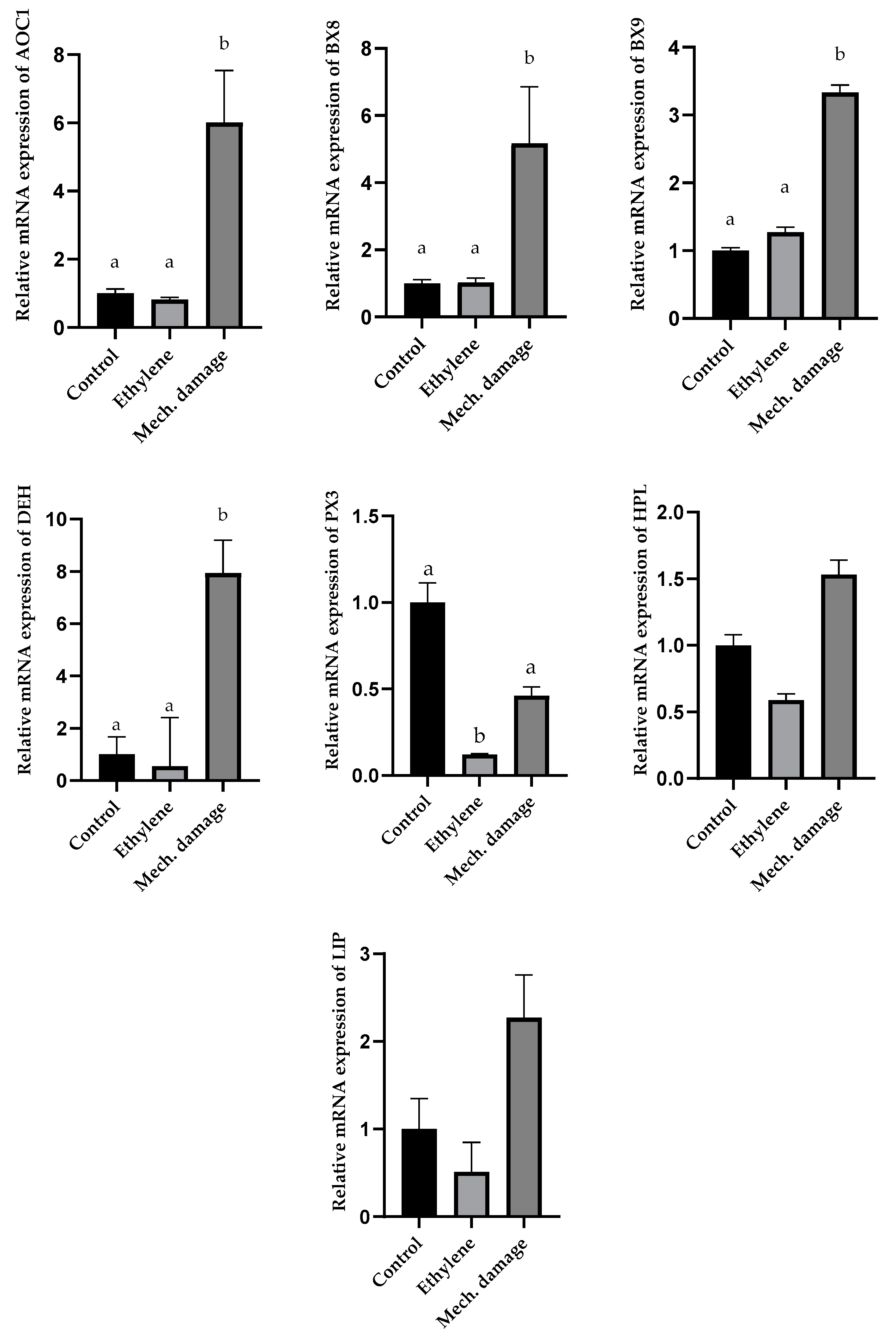 Agronomy 14 01950 g007