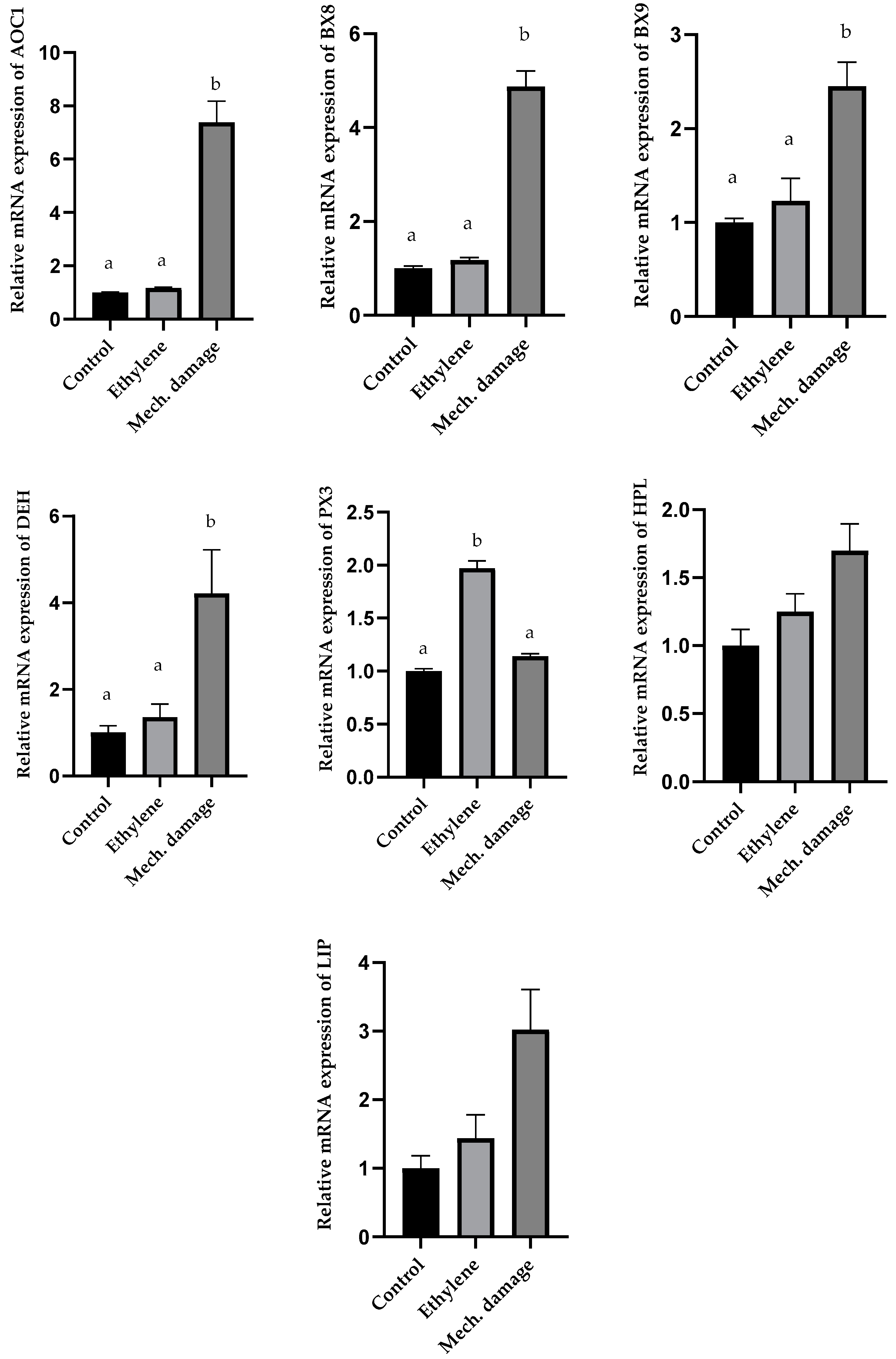 Agronomy 14 01950 g008