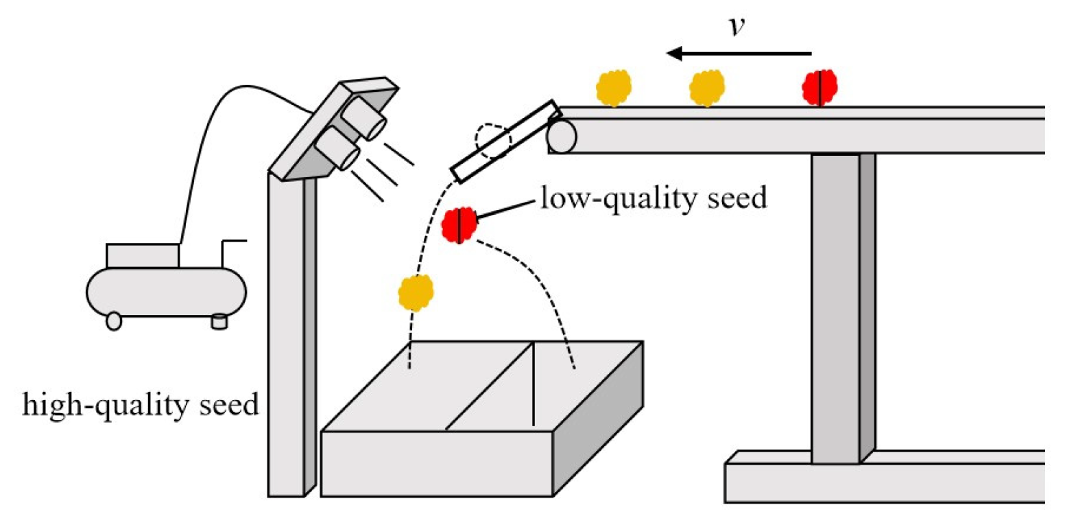 Agronomy 14 01953 g007