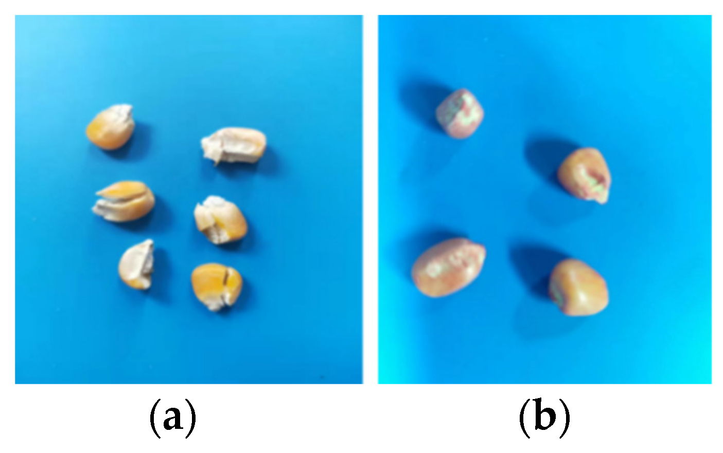 Agronomy 14 01953 g009