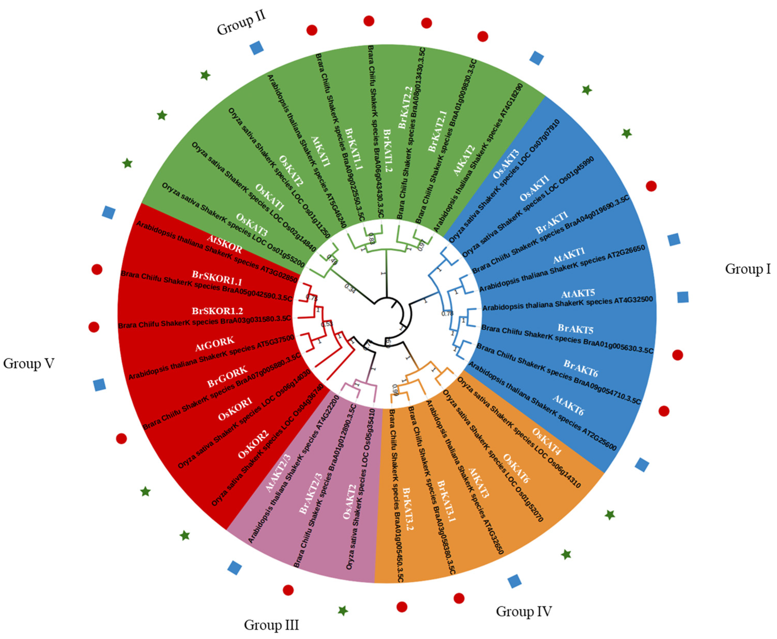 Agronomy 14 01954 g001
