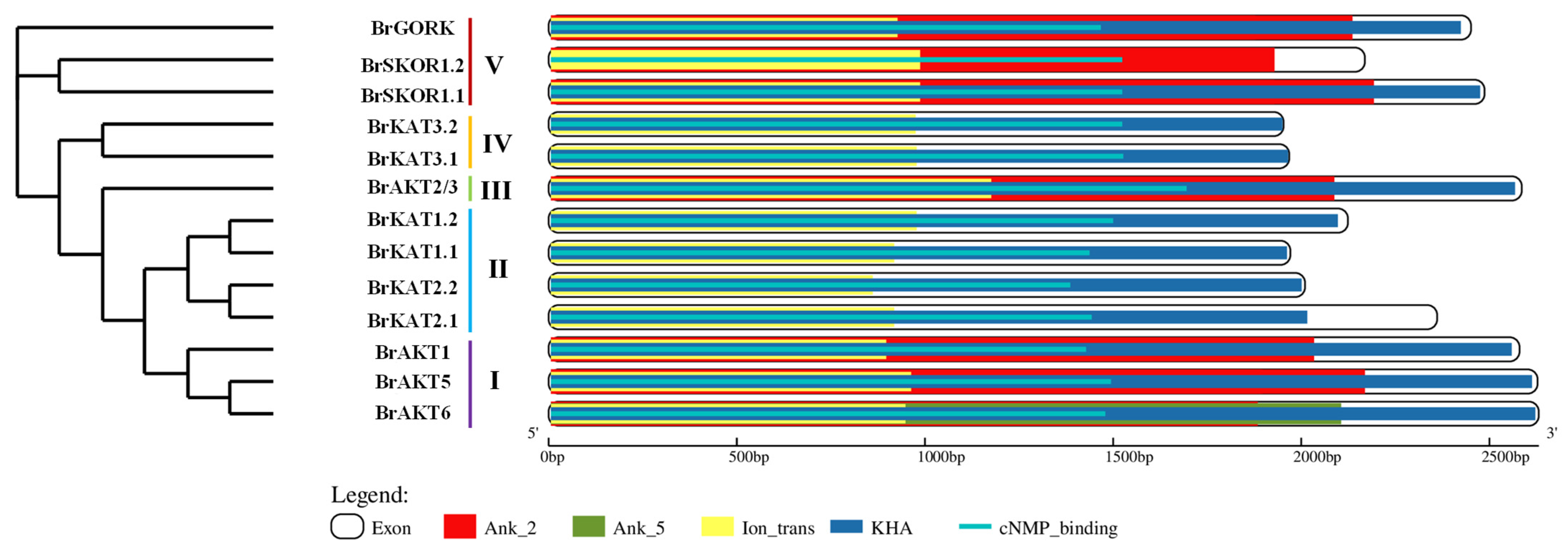 Agronomy 14 01954 g002