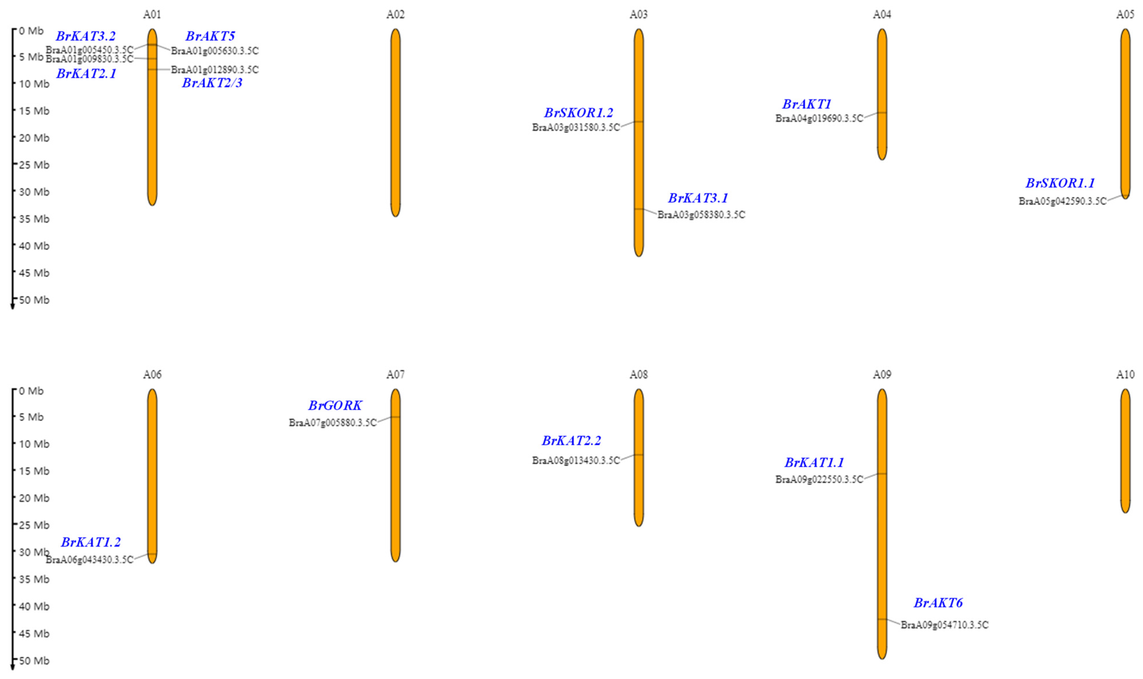 Agronomy 14 01954 g003