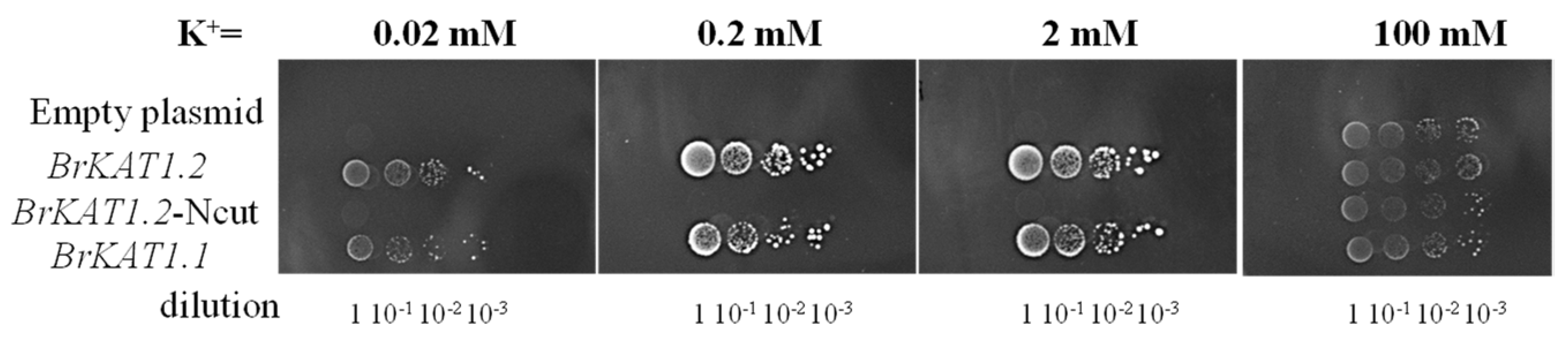 Agronomy 14 01954 g007
