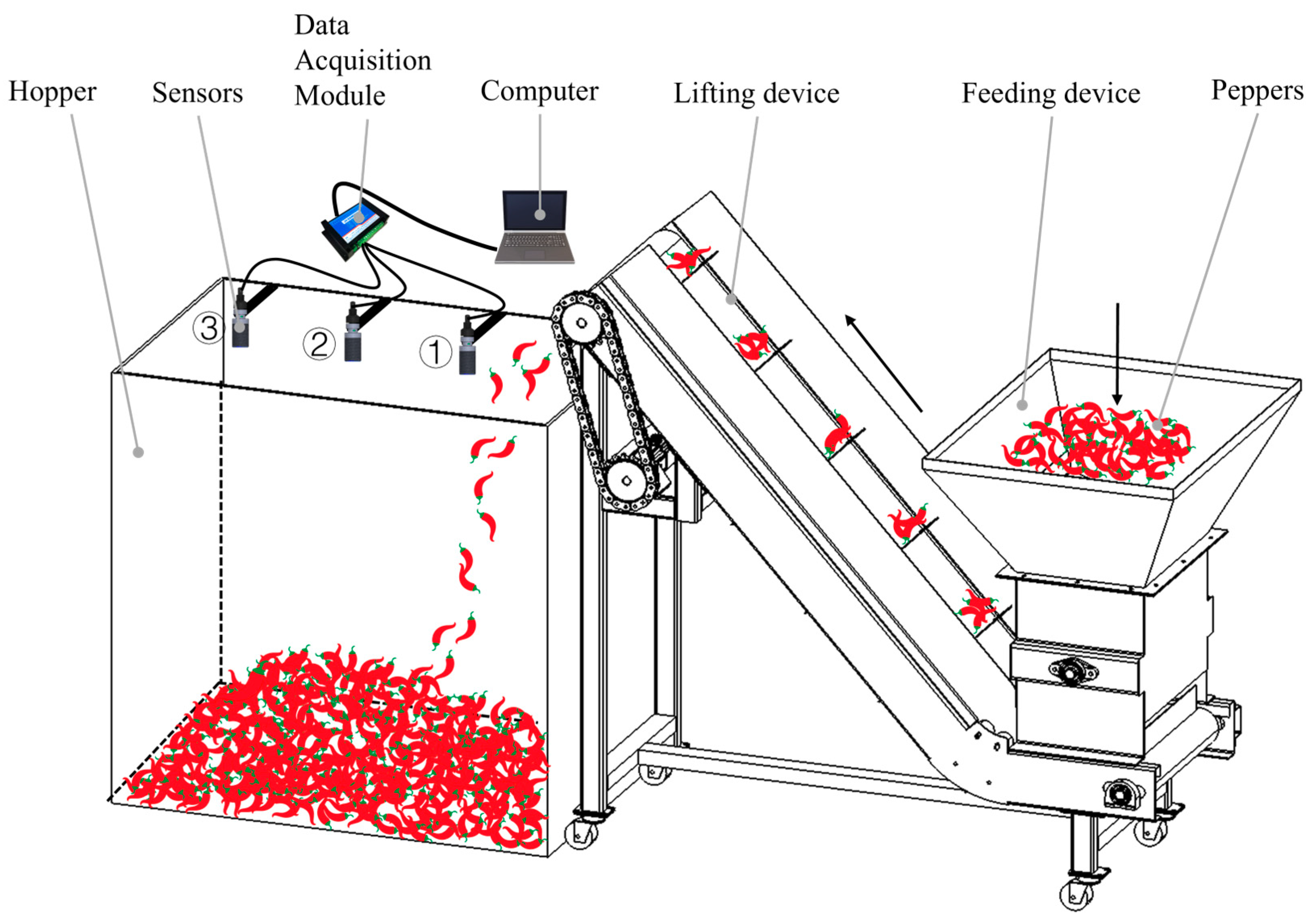 Agronomy 14 01955 g001