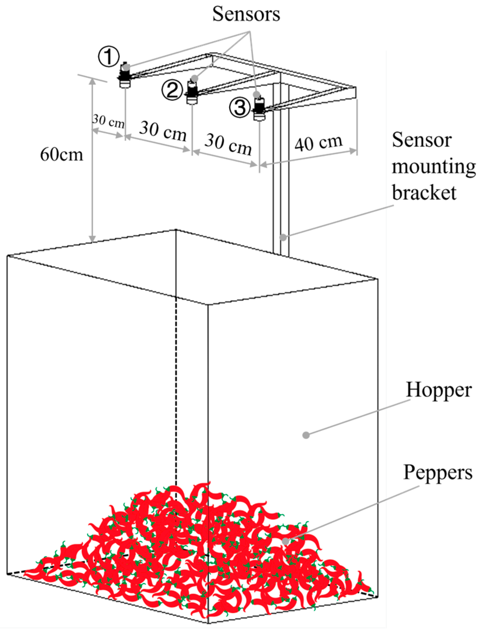 Agronomy 14 01955 g010