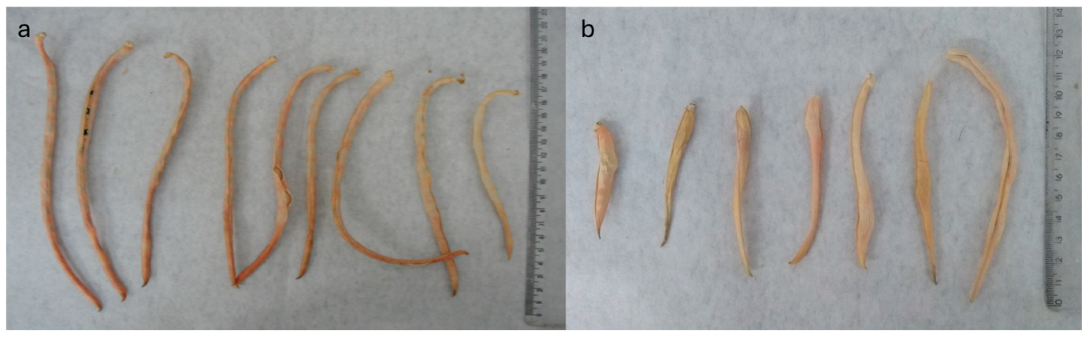 Agronomy 14 01969 g002 Agronomy 14 01969 g002