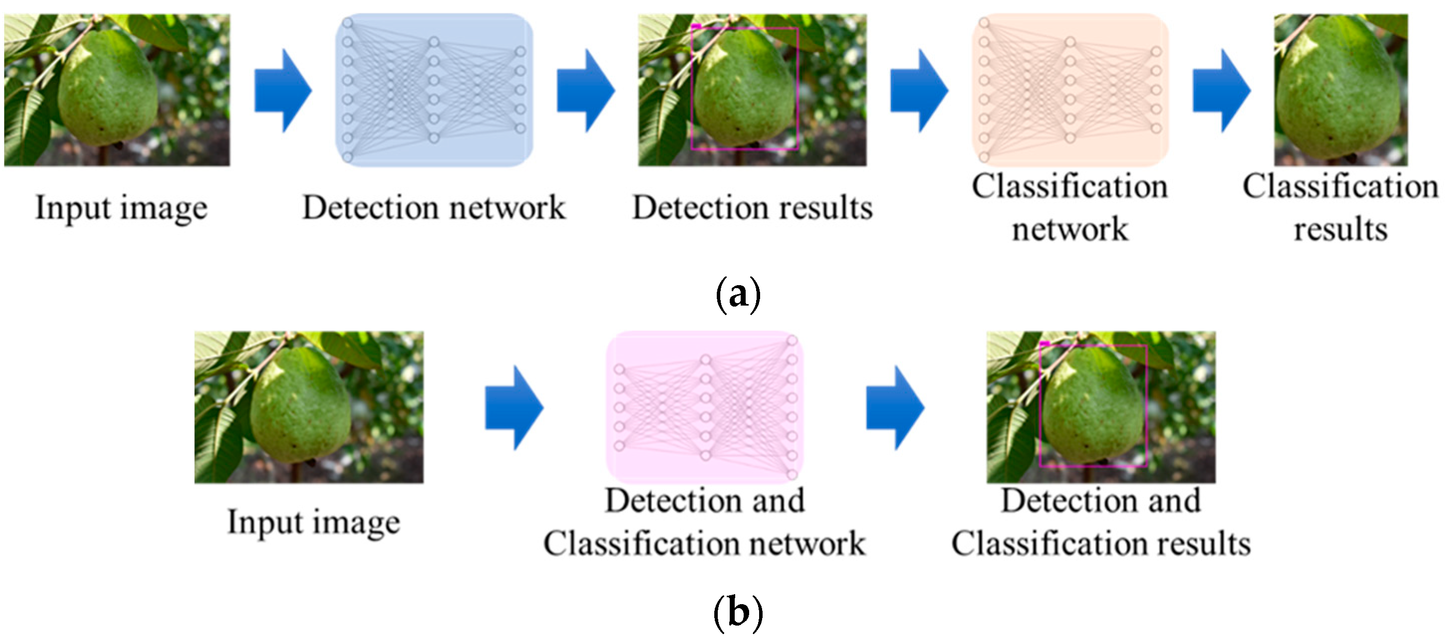 Agronomy 14 01988 g001
