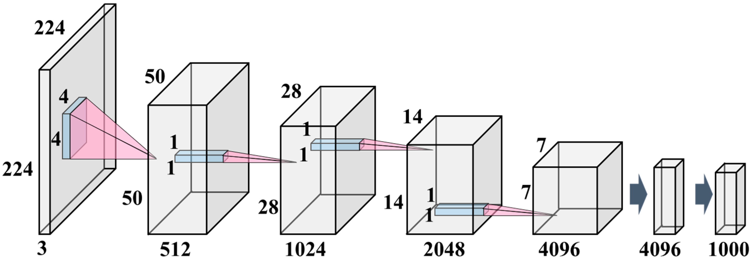 Agronomy 14 01988 g006