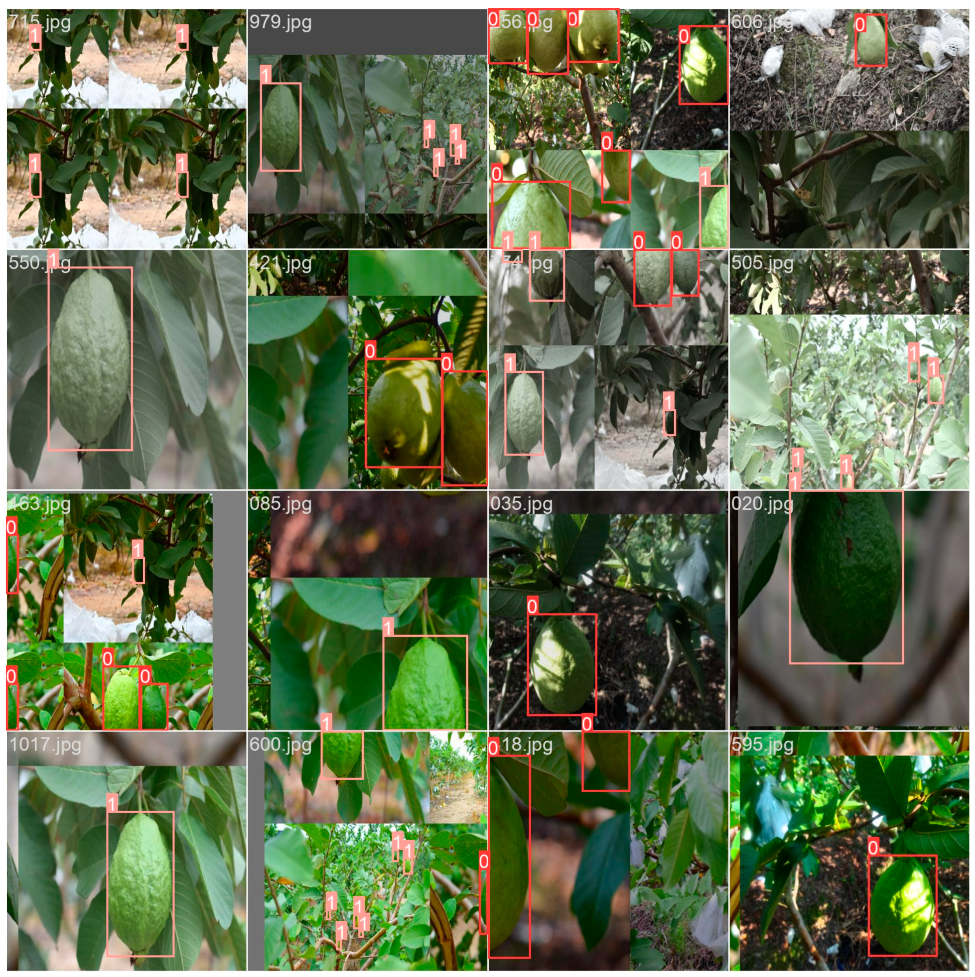 Agronomy 14 01988 g008