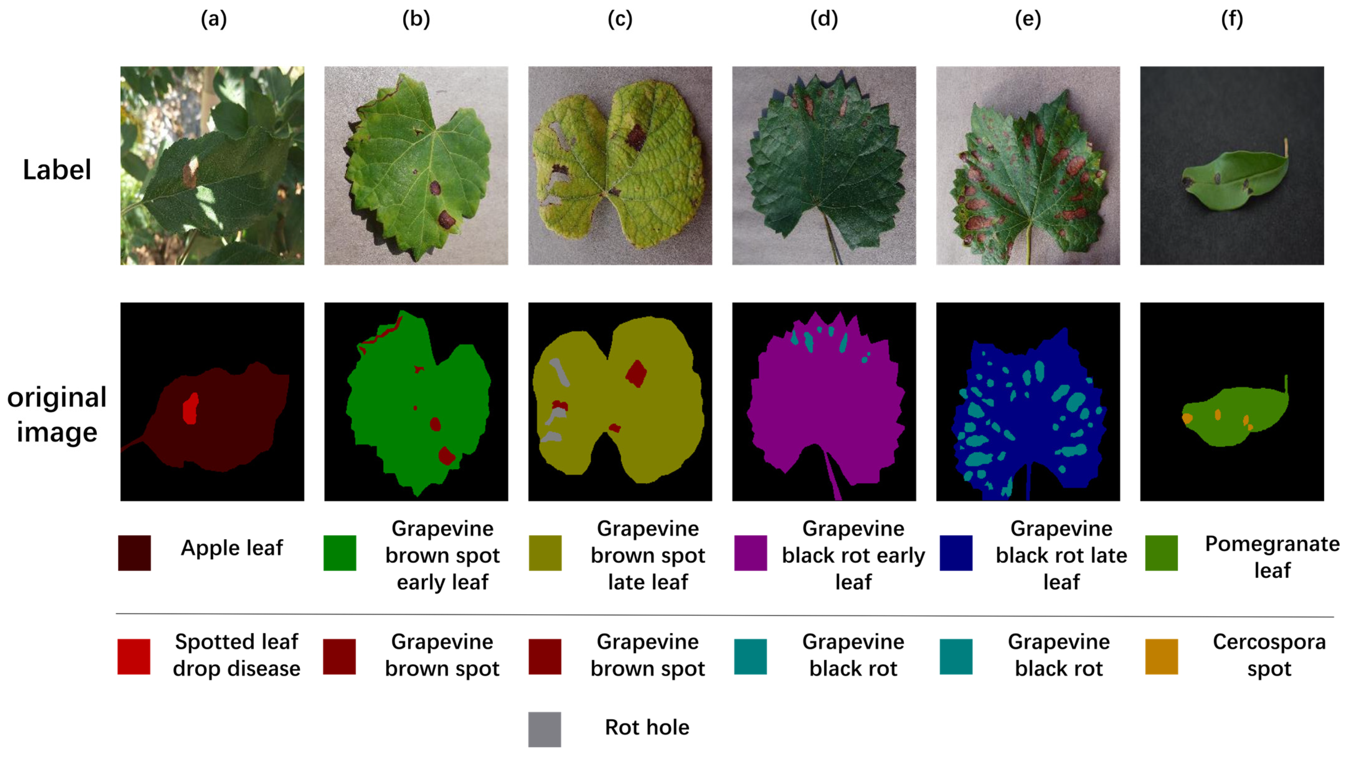 Agronomy 14 01992 g001
