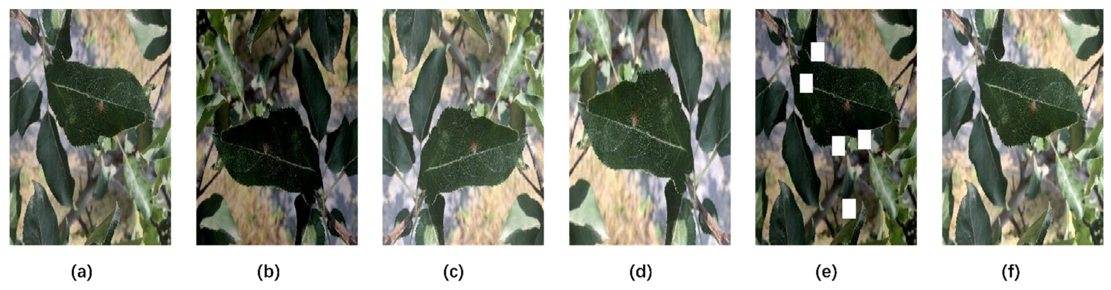 Agronomy 14 01992 g002