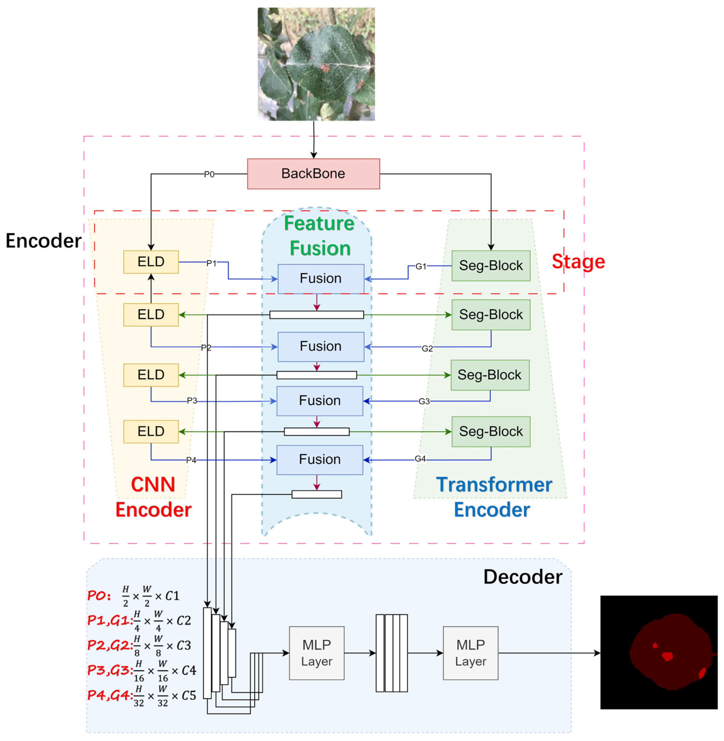 Agronomy 14 01992 g003