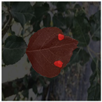 Agronomy 14 01992 i006