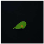 Agronomy 14 01992 i012