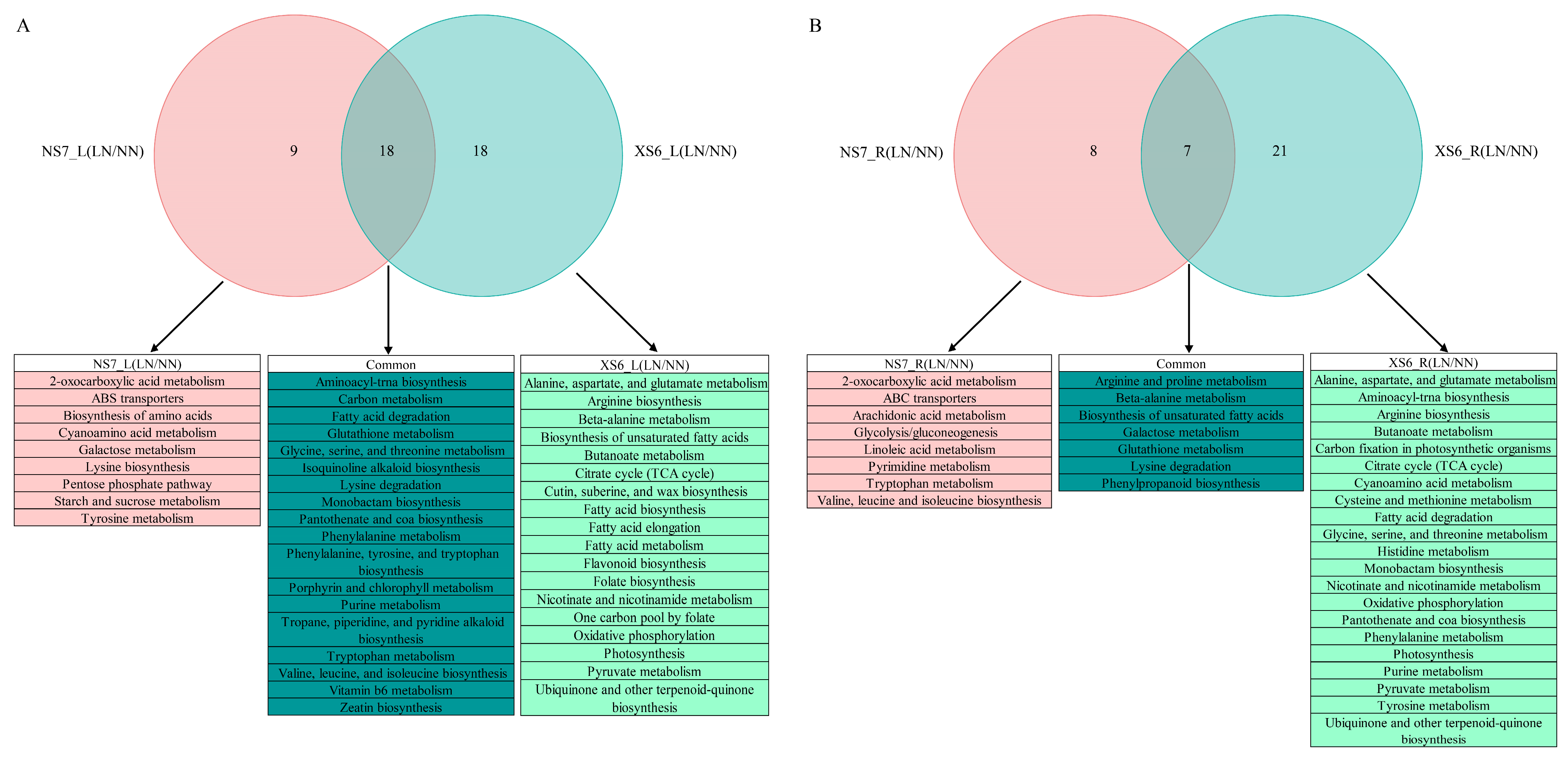 Agronomy 14 02000 g008