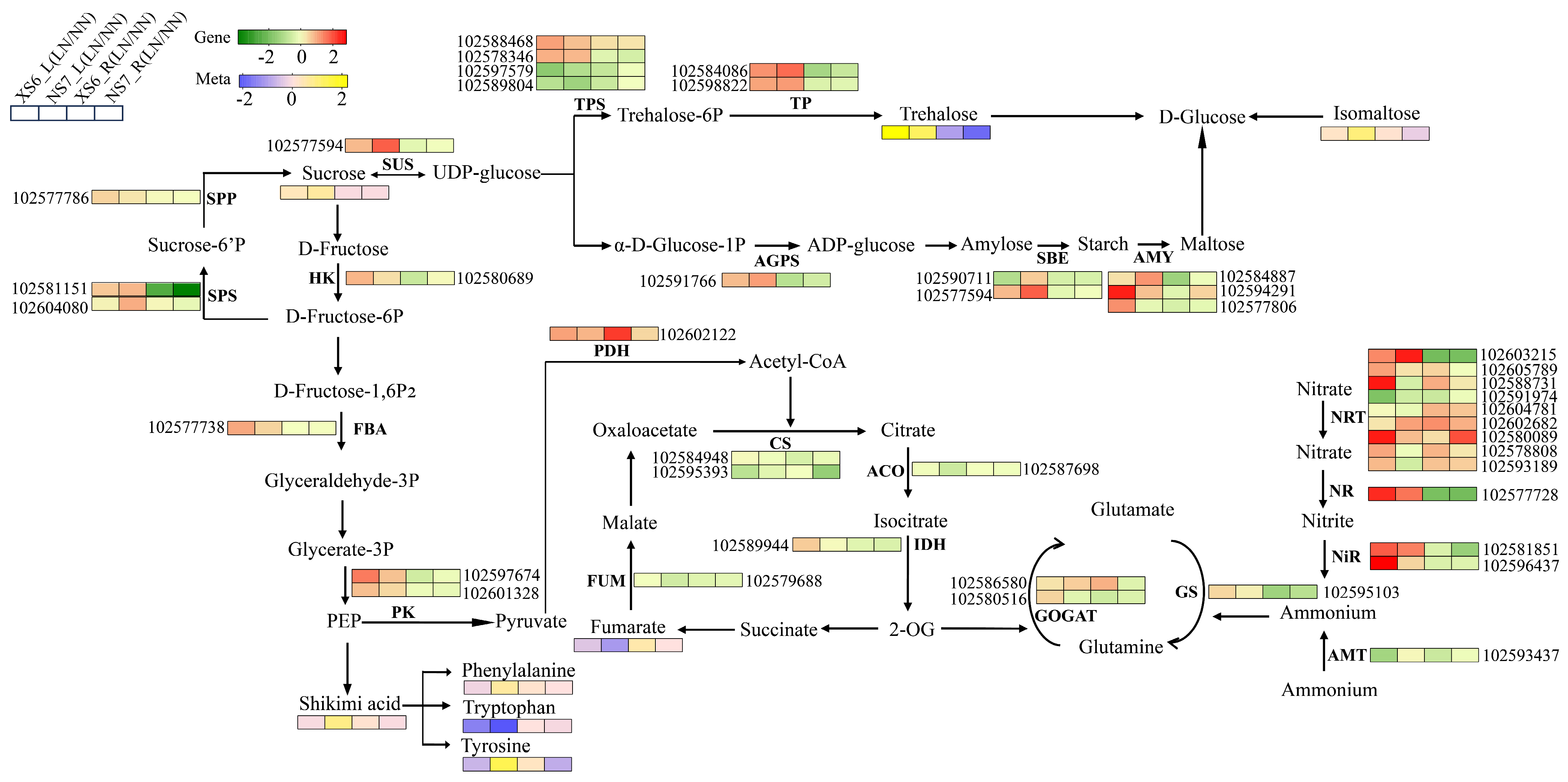 Agronomy 14 02000 g009