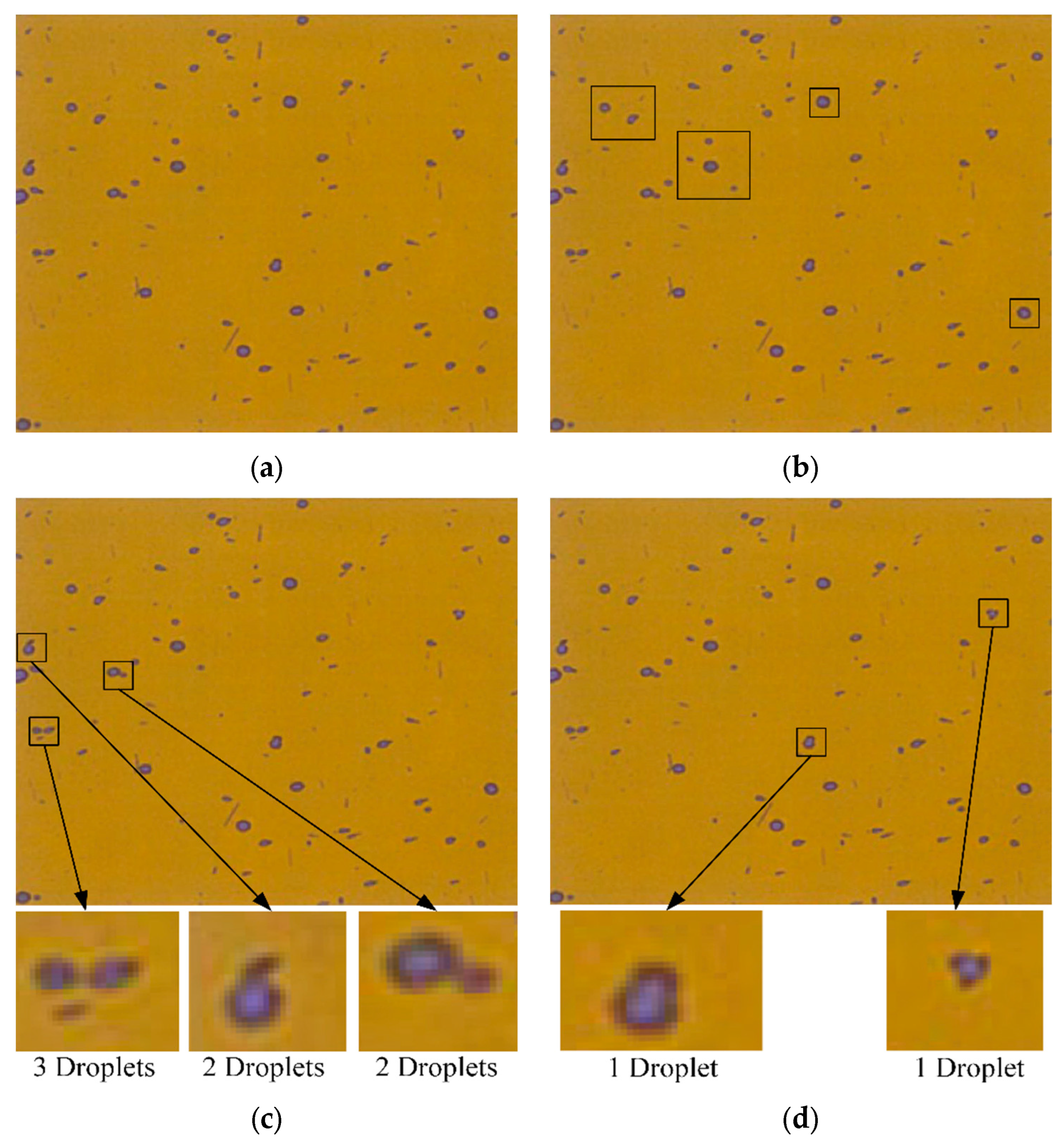 Agronomy 14 02002 g015