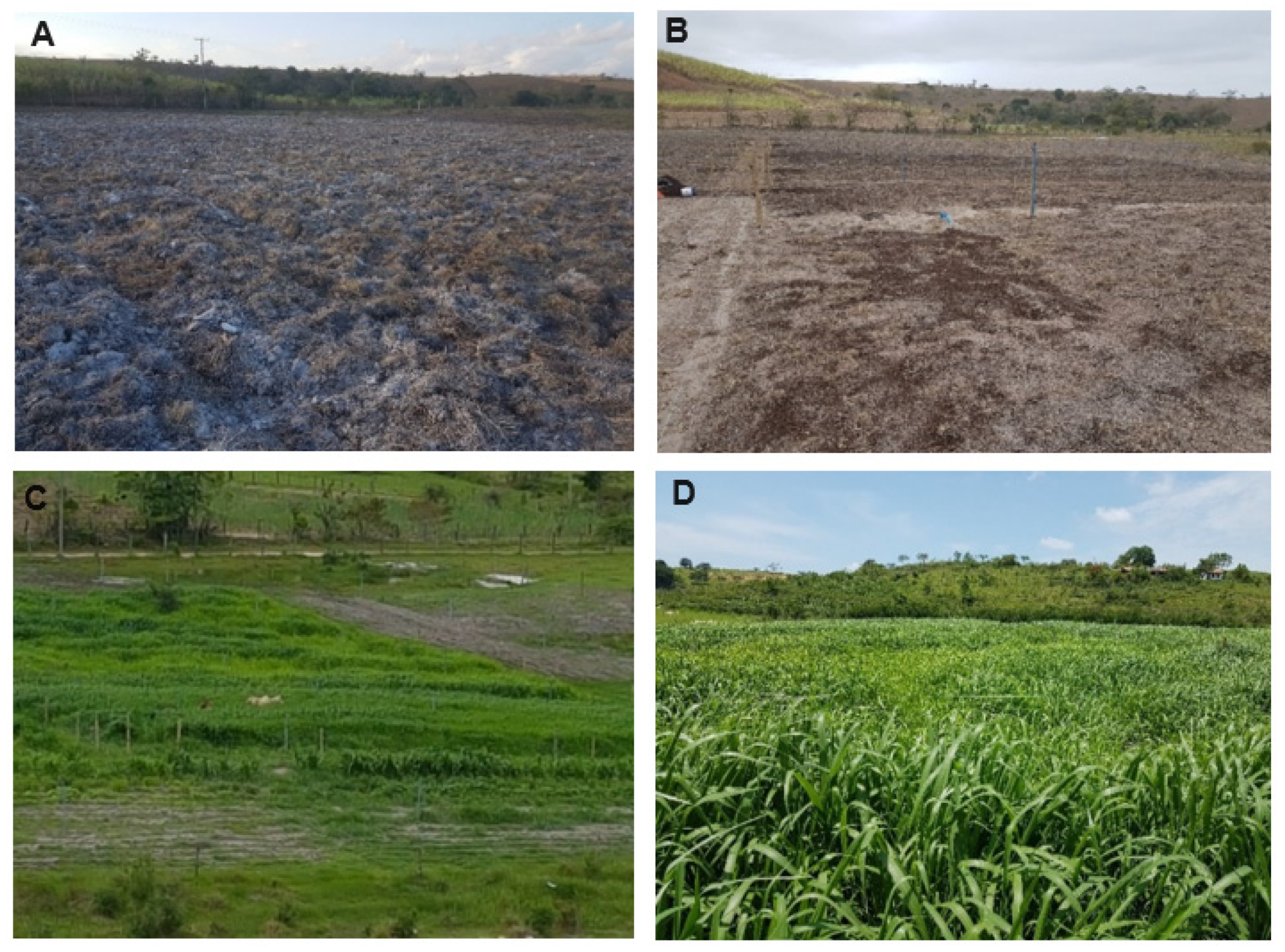 Agronomy 14 02006 g002