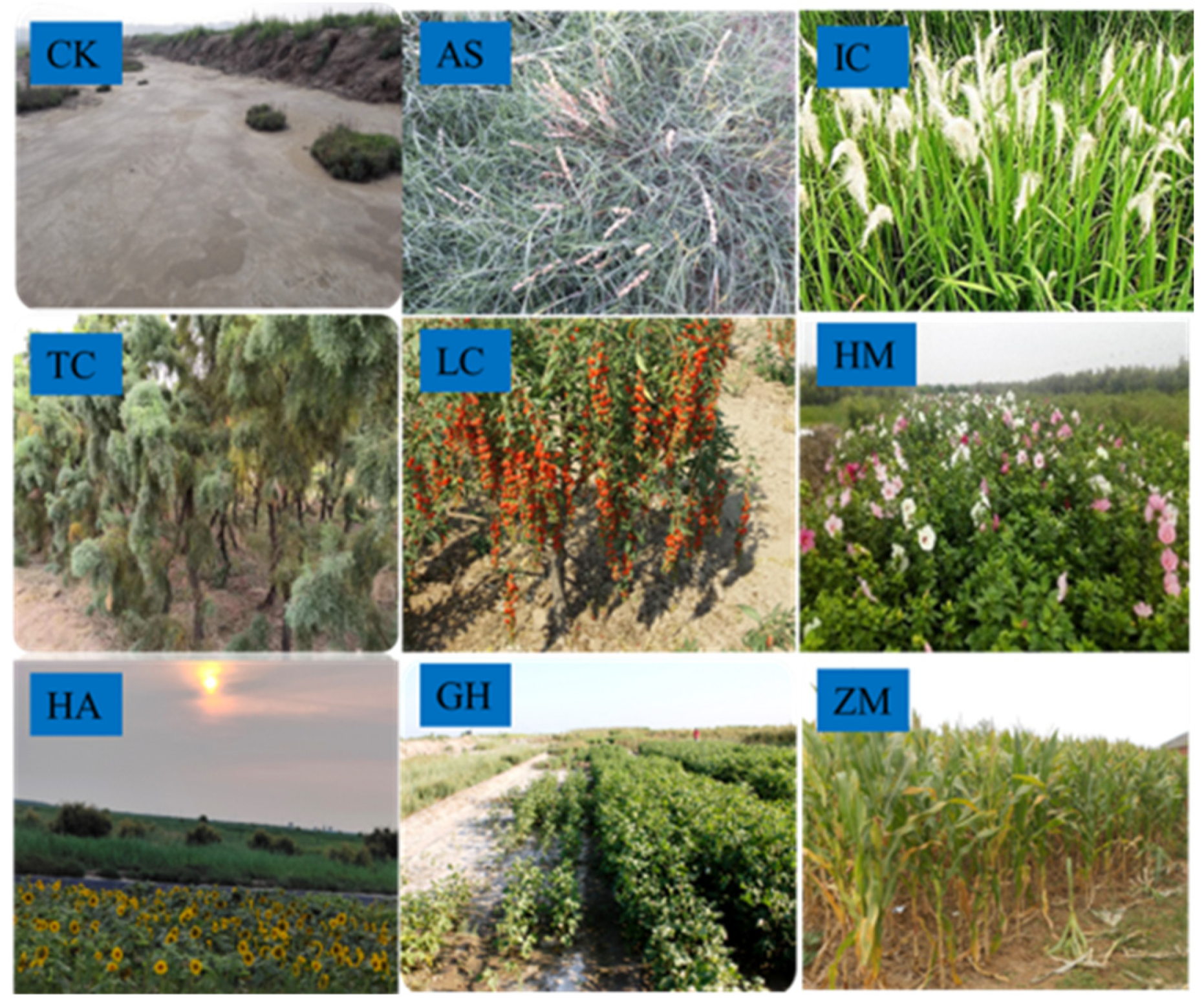 Agronomy 14 02007 g003