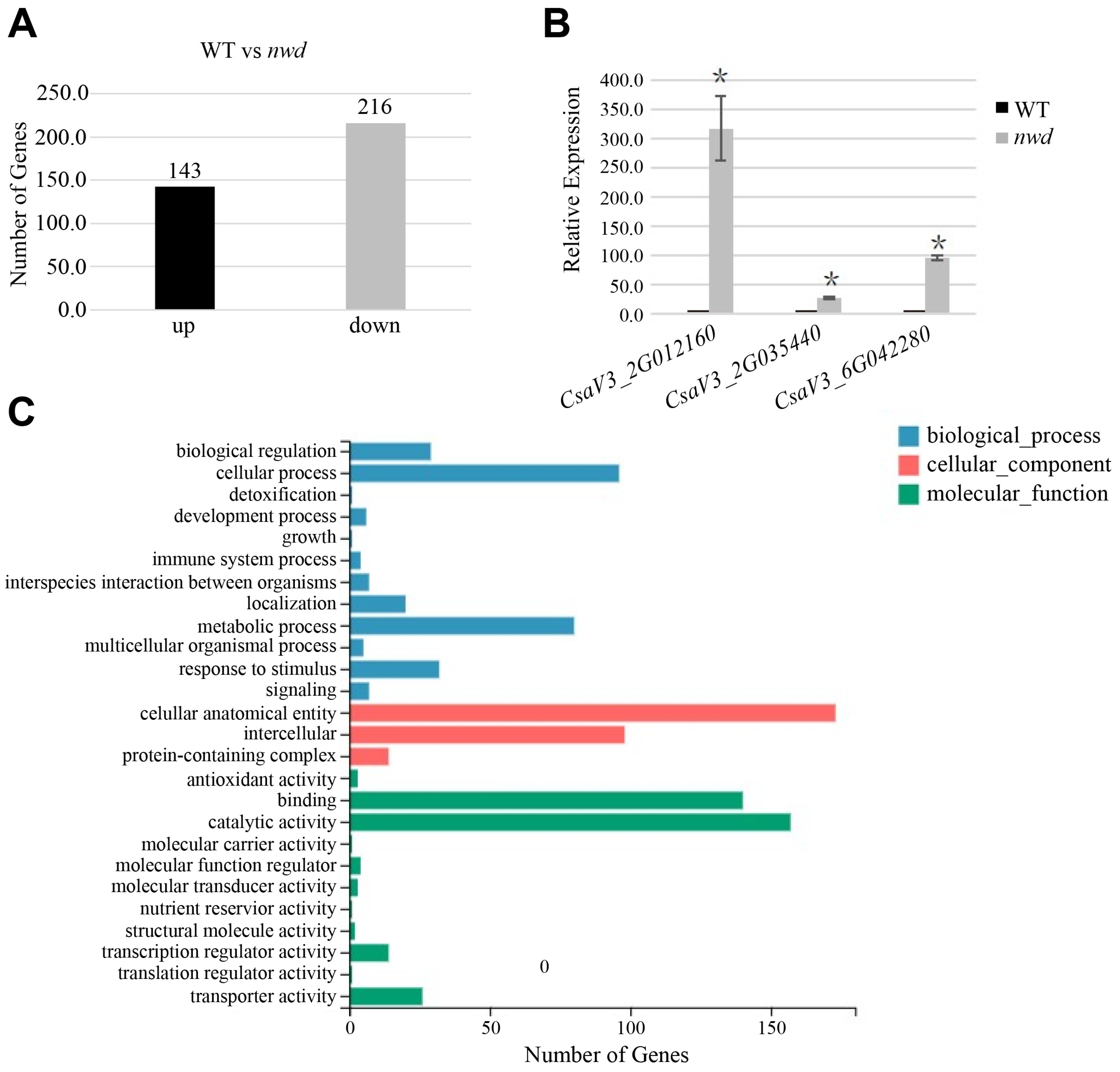 Agronomy 14 02019 g009