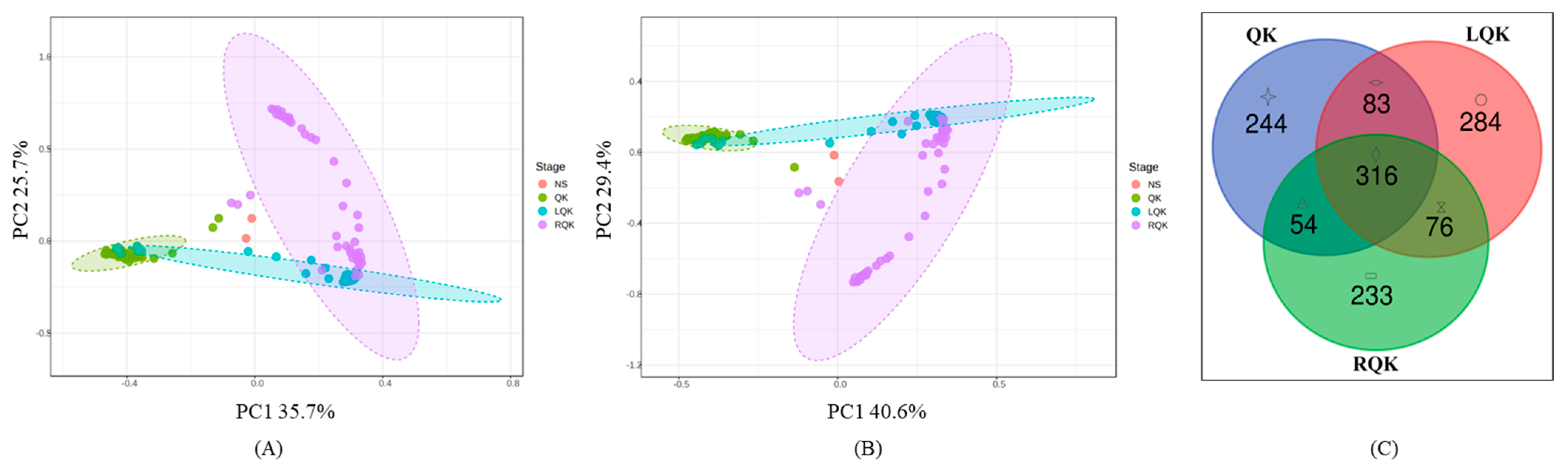 Agronomy 14 02030 g002