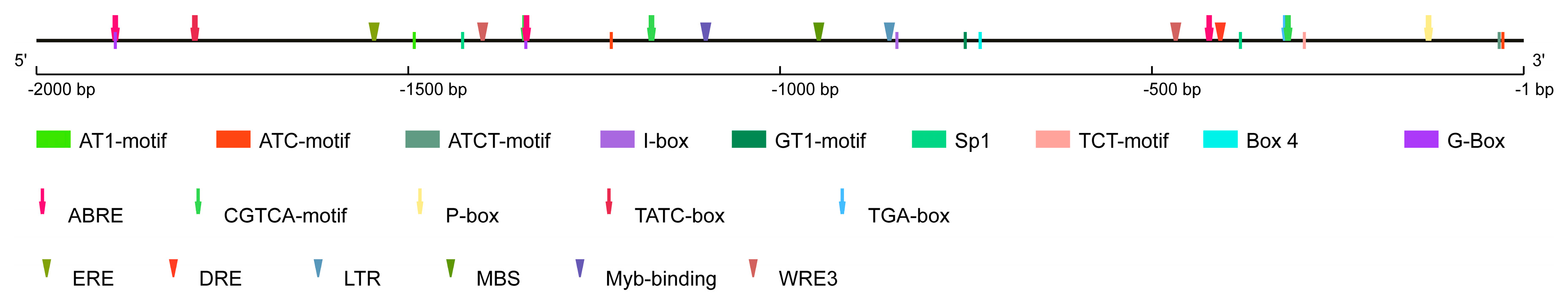 Agronomy 14 02035 g002