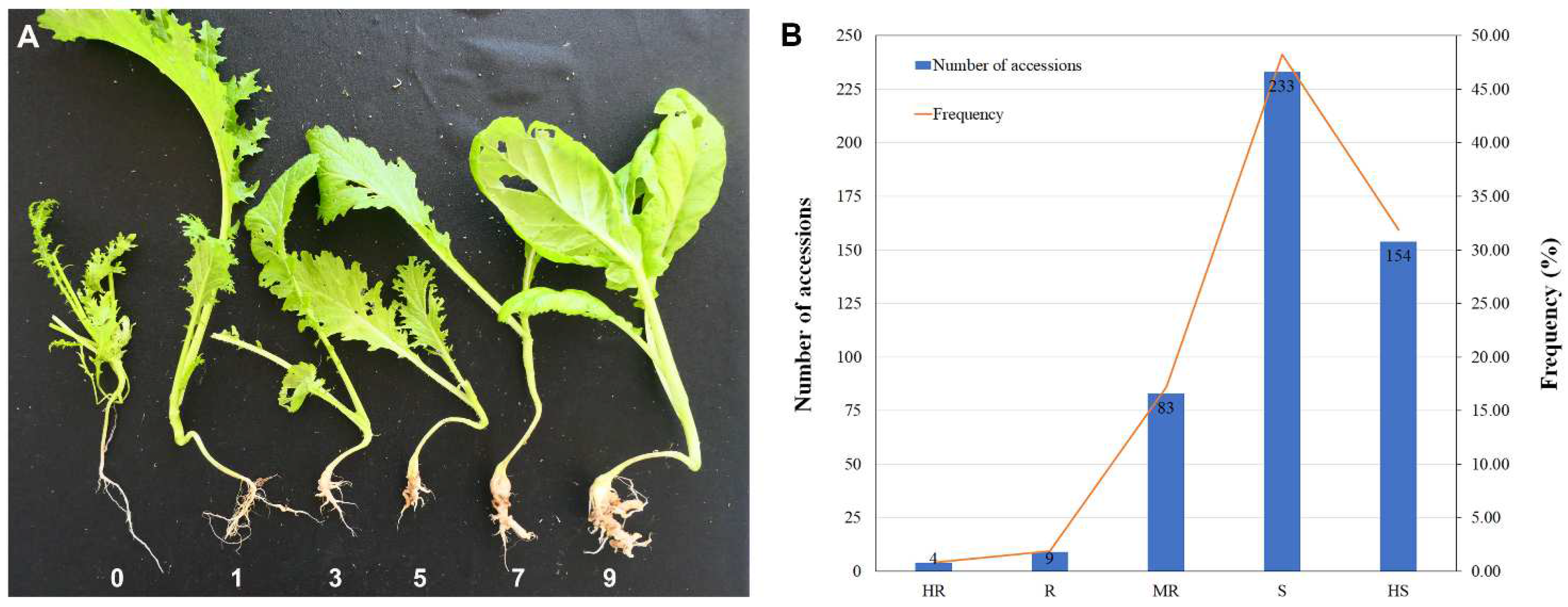 Agronomy 14 02042 g002