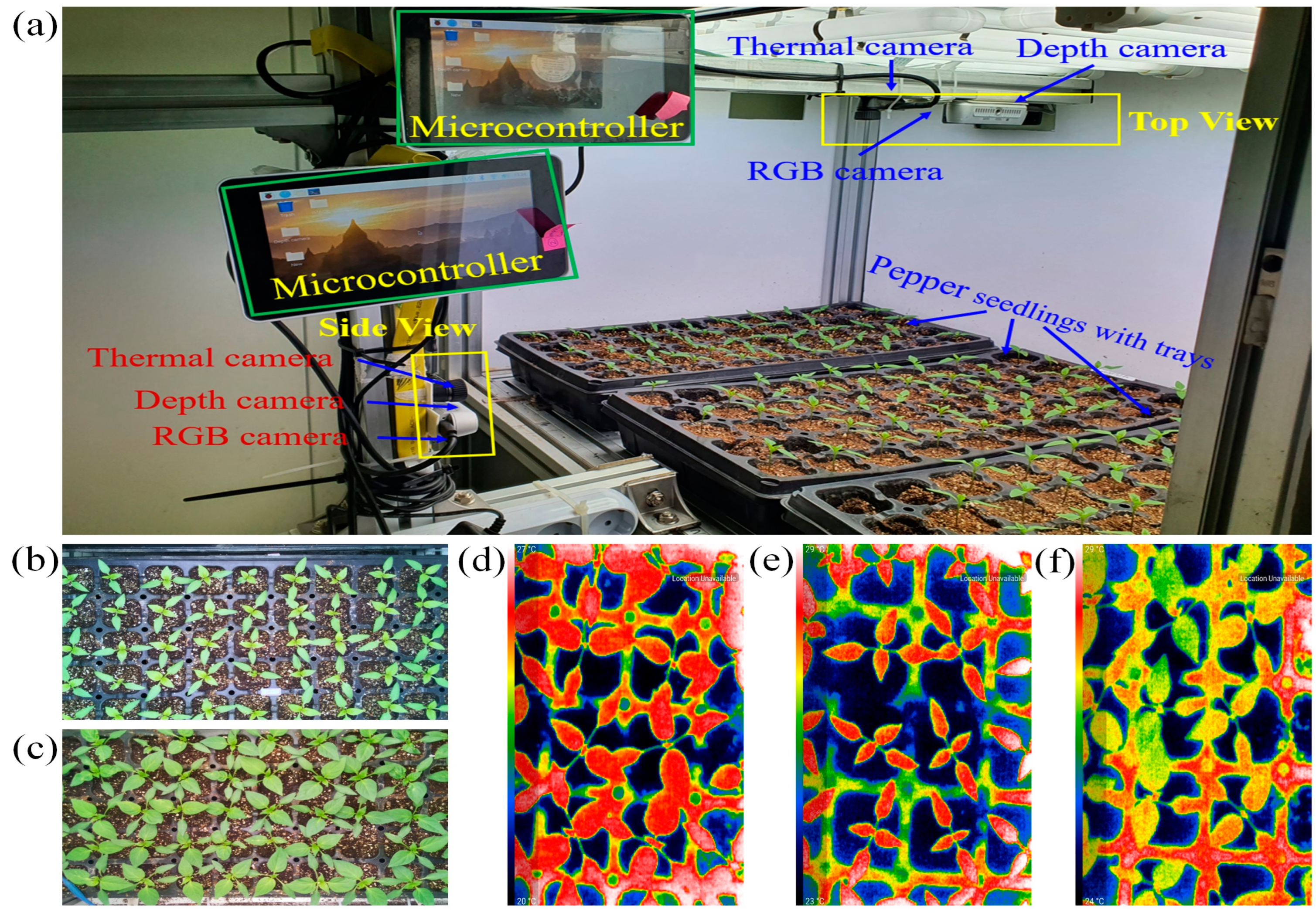 Agronomy 14 02043 g003