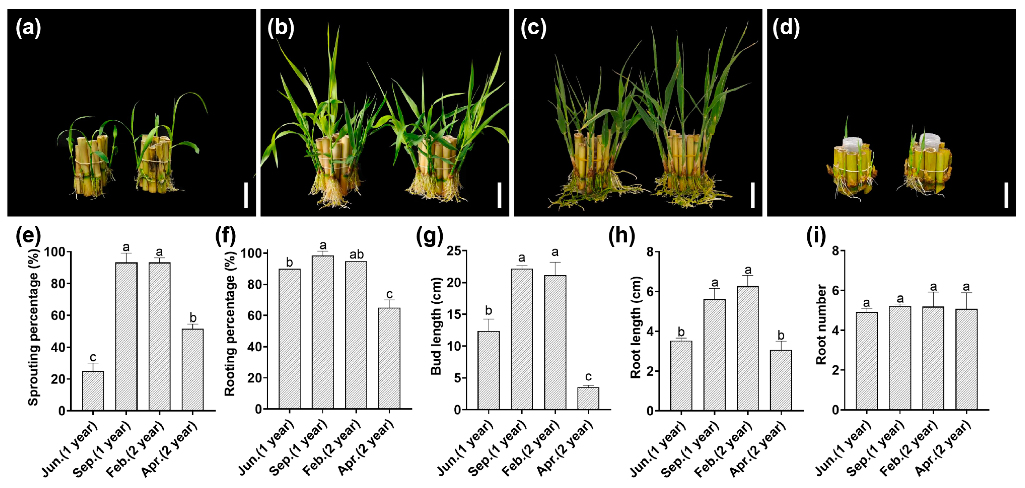 Agronomy 14 02047 g003