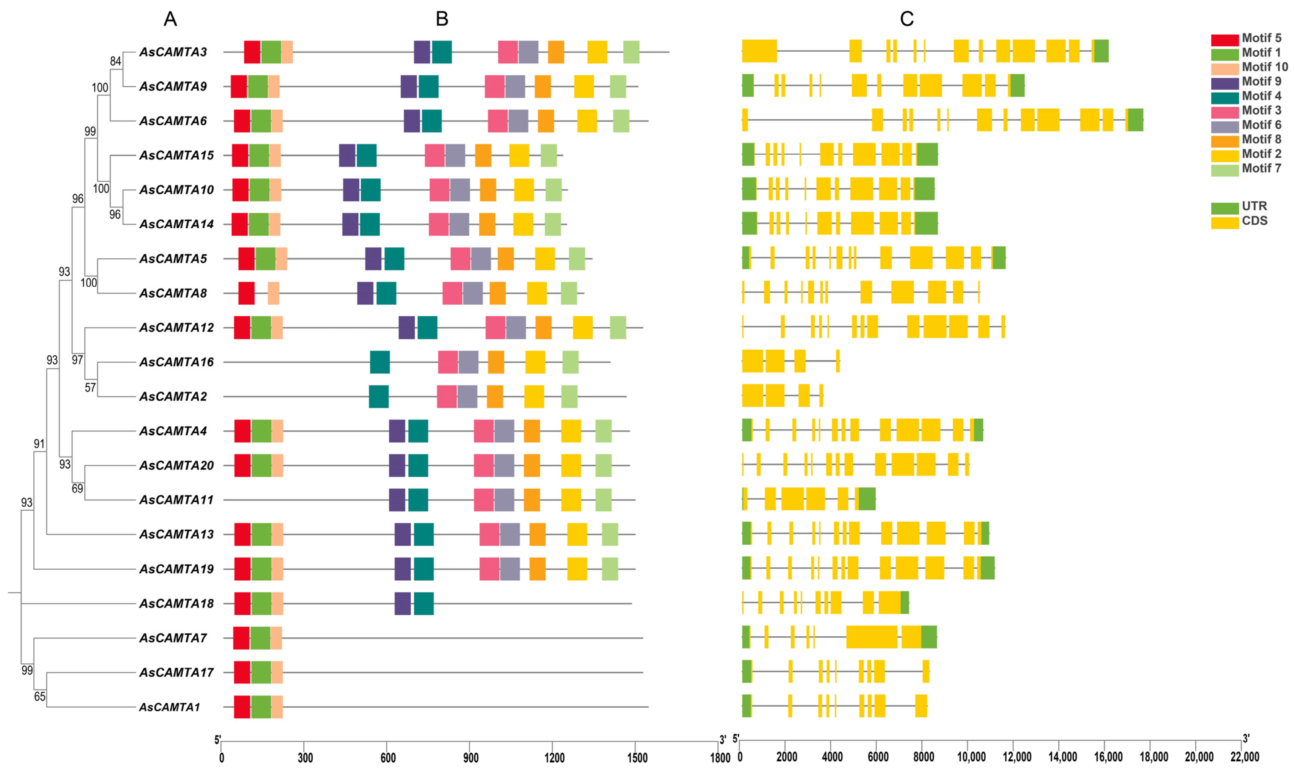 Agronomy 14 02053 g001