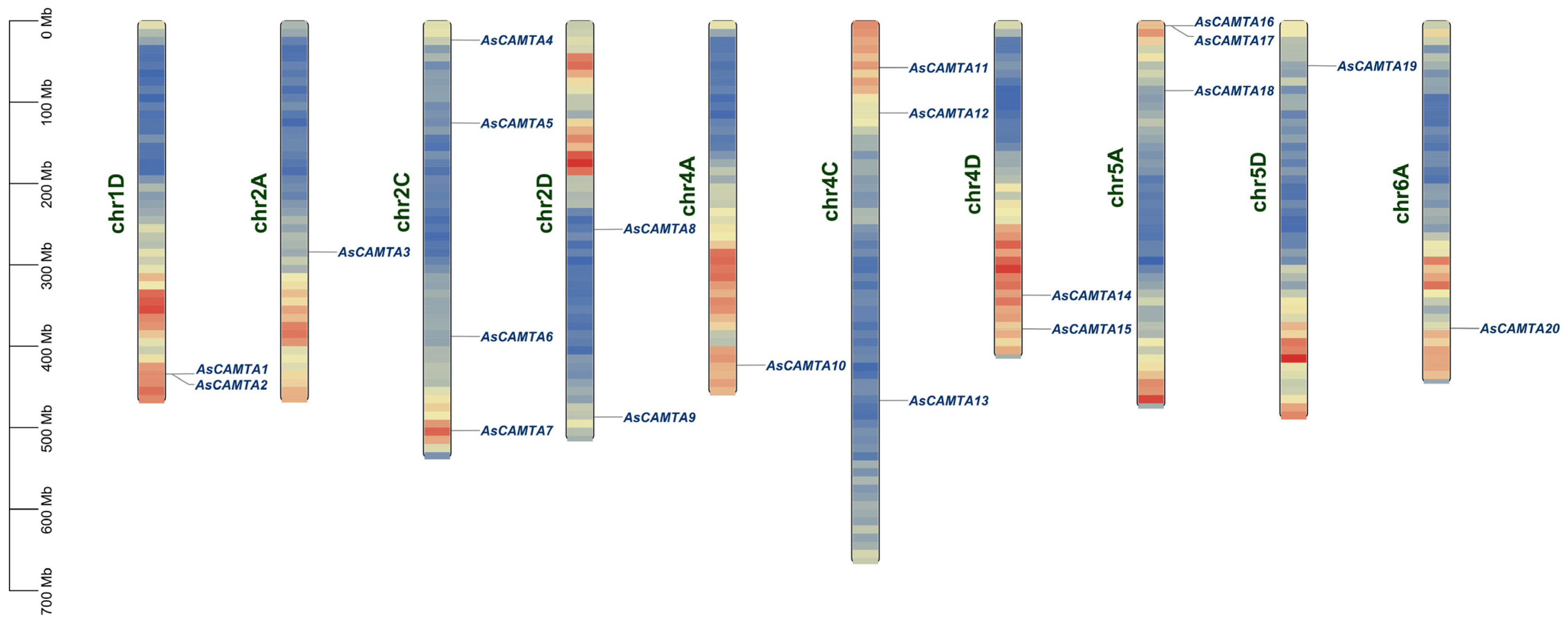 Agronomy 14 02053 g002