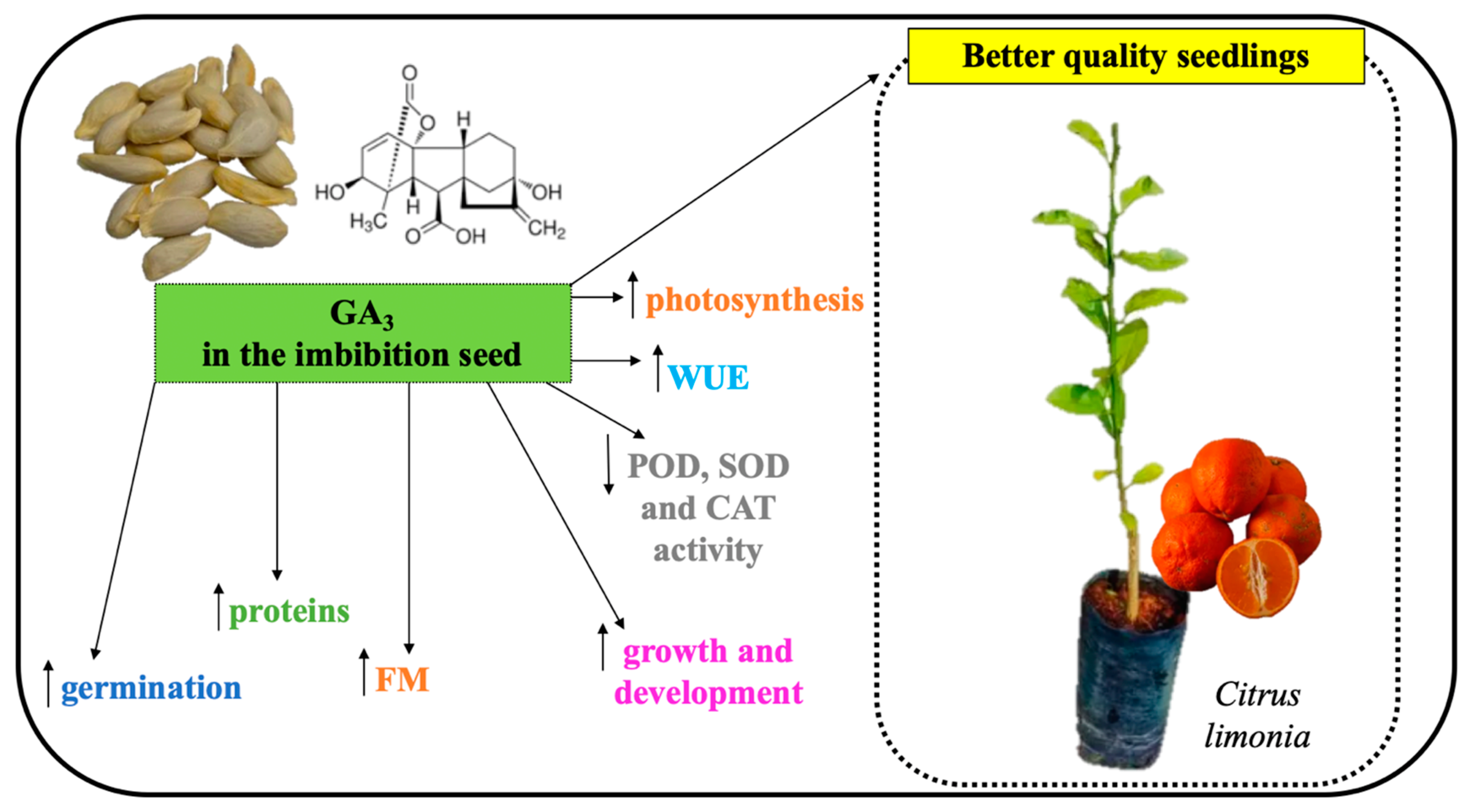 Agronomy 14 02066 g005 Agronomy 14 02066 g005