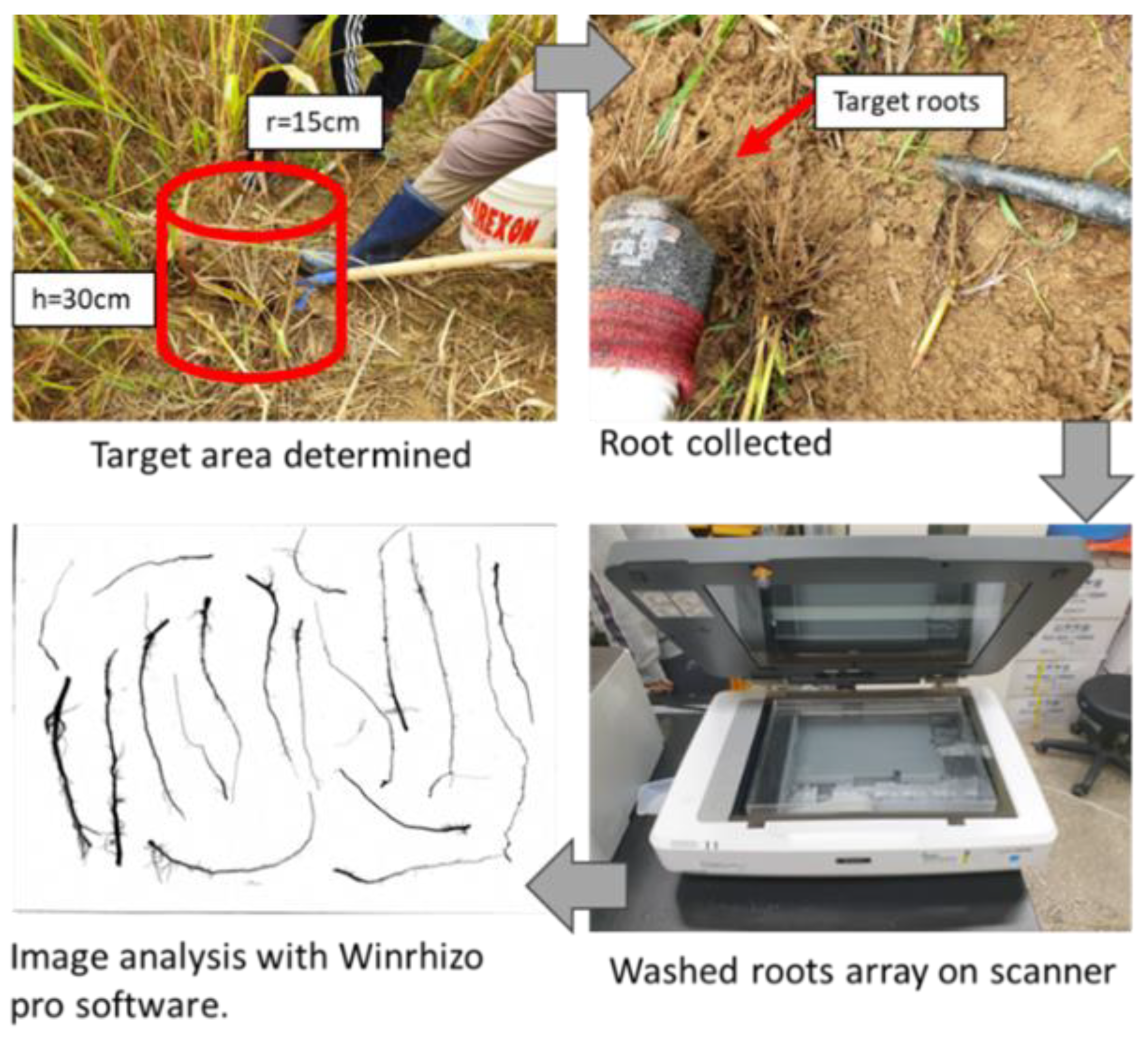 Agronomy 14 02073 g002 Agronomy 14 02073 g002