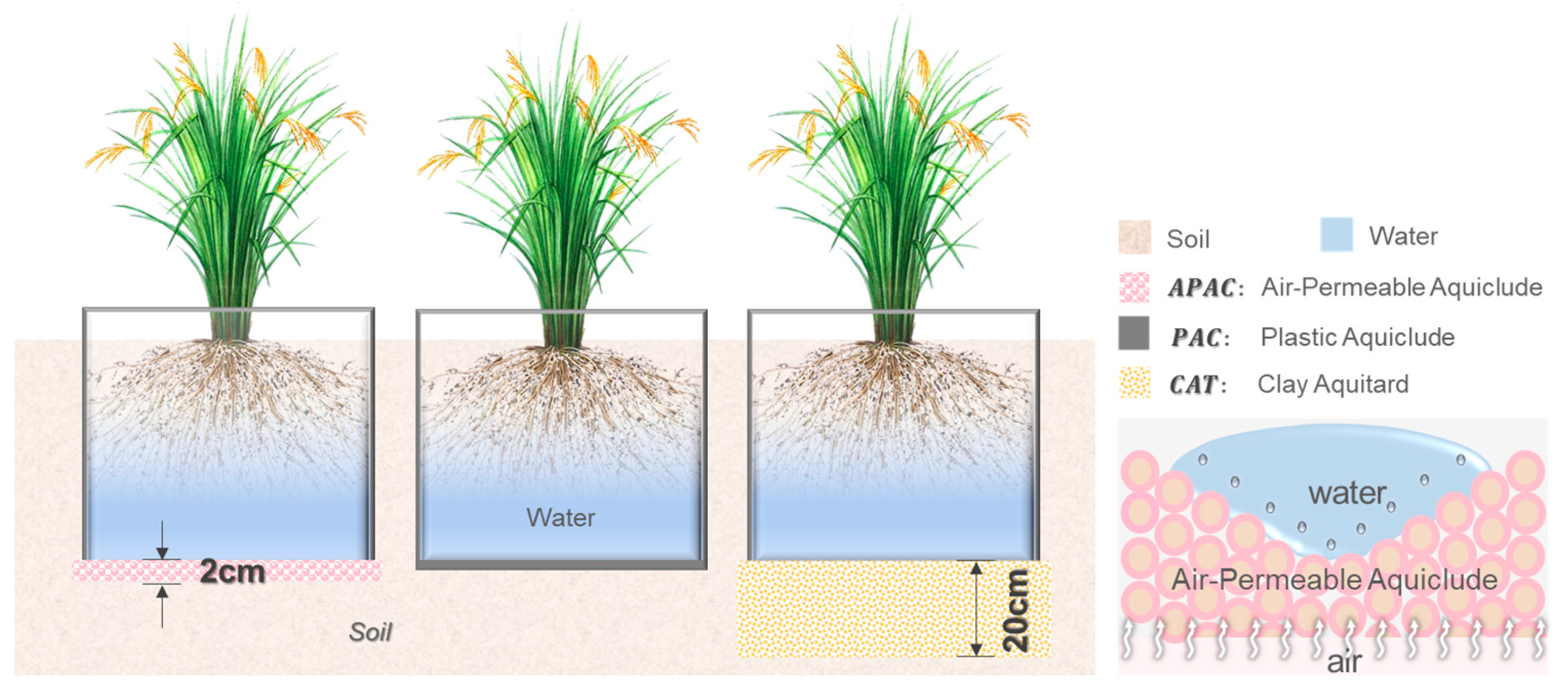 Agronomy 14 02085 g002