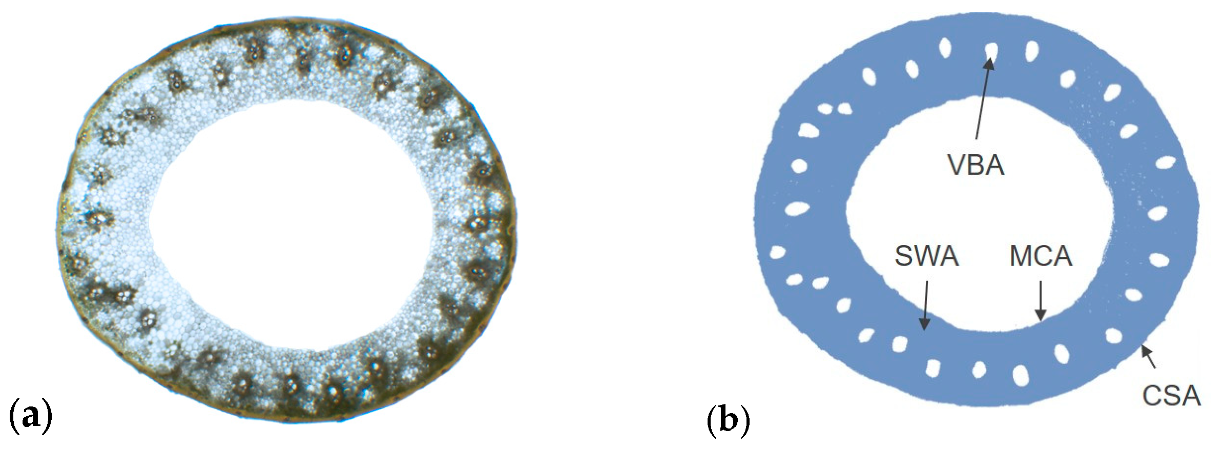 Agronomy 14 02085 g004