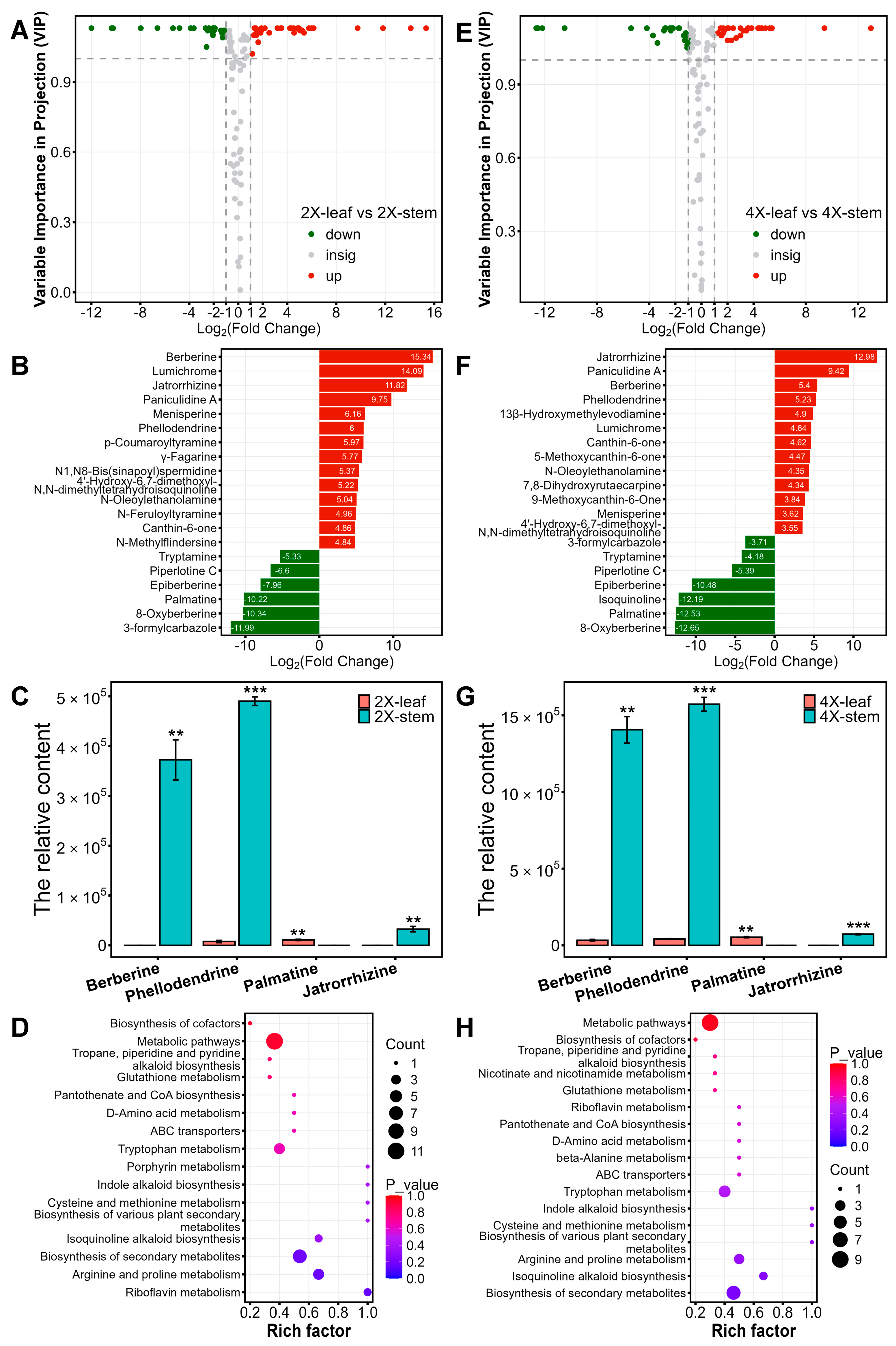 Agronomy 14 02090 g004